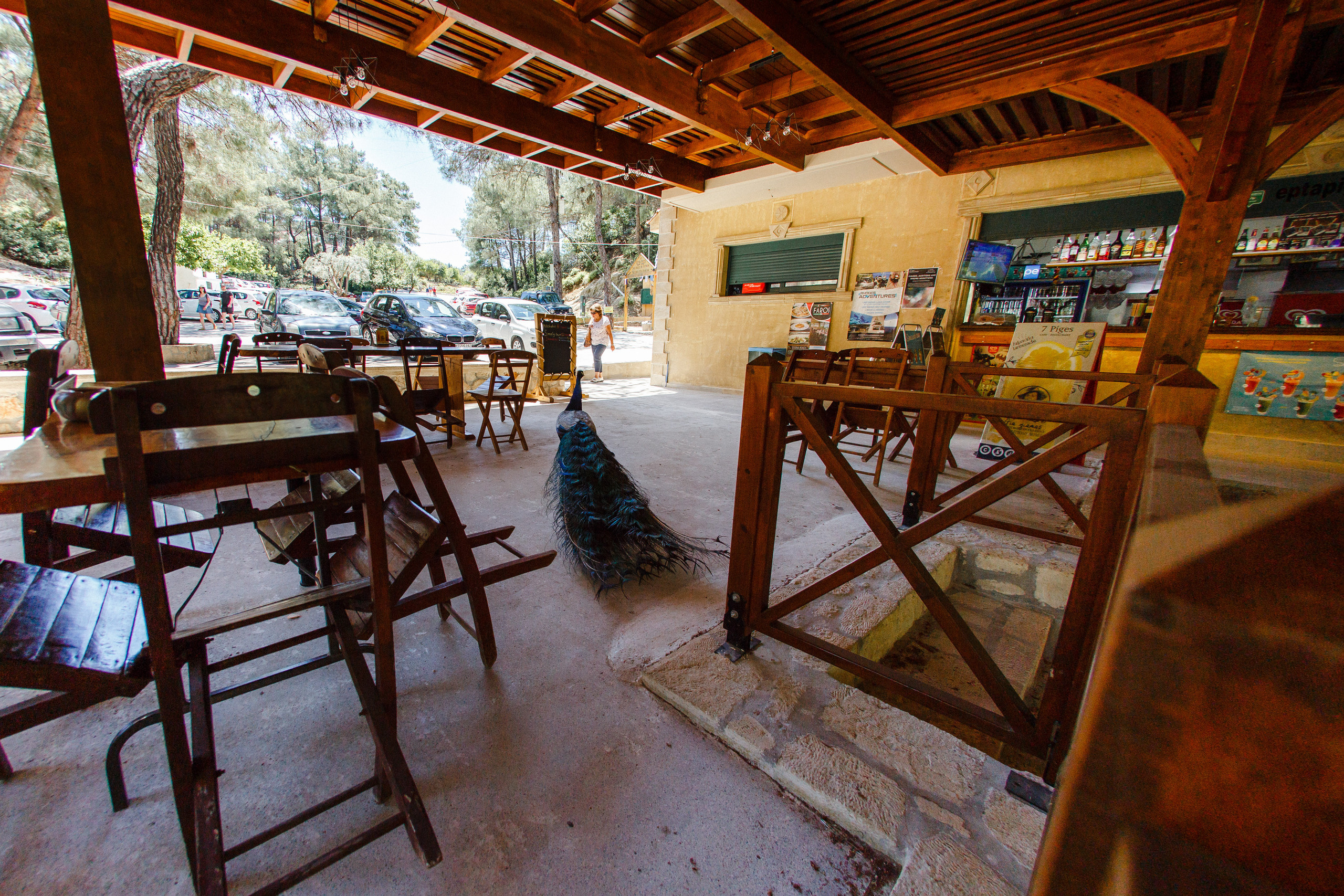 Путешествие на остров Родос, Греция. Блог о путешествии в Грецию. Свадебный фотограф в Санкт-Петербурге Никита Кузякин