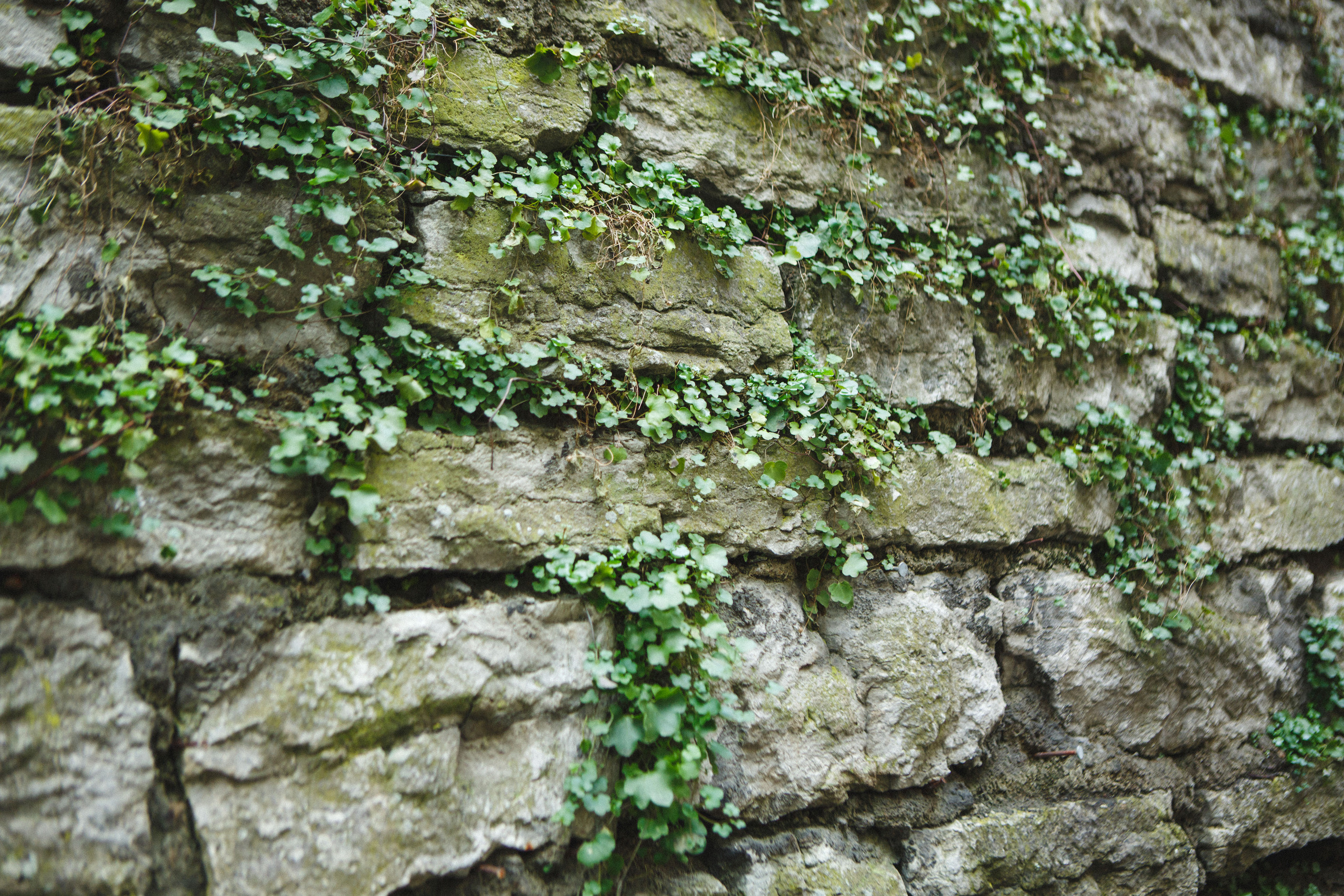 Путешествие в Таллин зимой, отчет о путешествии в Таллин зимой. Свадебный фотограф в Санкт-Петербурге Никита Кузякин
