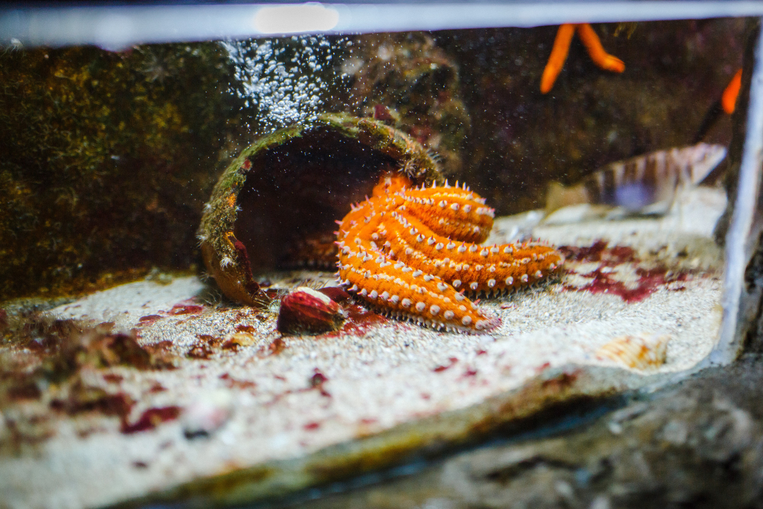 Путешествие на остров Родос, Греция. Блог о путешествии в Грецию. Свадебный фотограф в Санкт-Петербурге Никита Кузякин