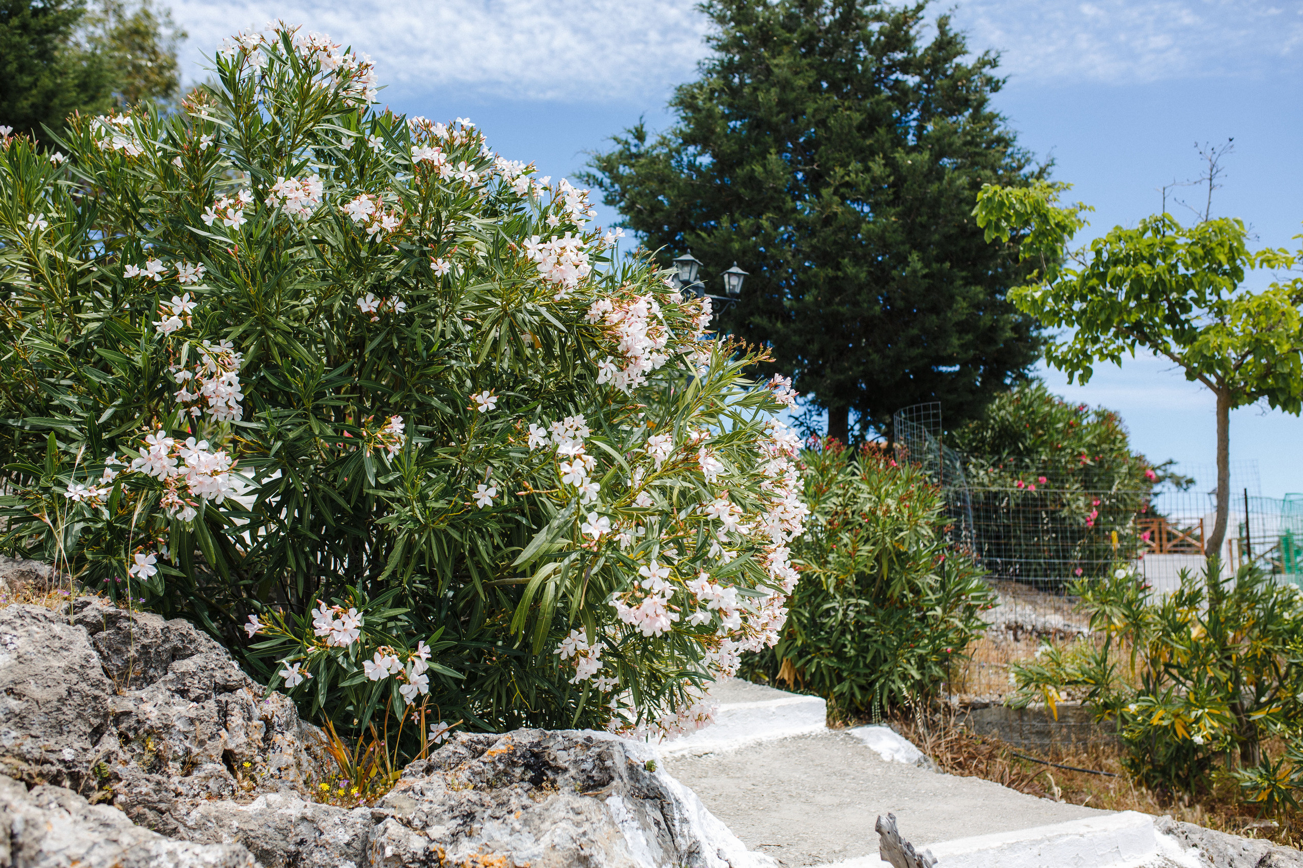 Путешествие на остров Родос, Греция. Блог о путешествии в Грецию. Свадебный фотограф в Санкт-Петербурге Никита Кузякин