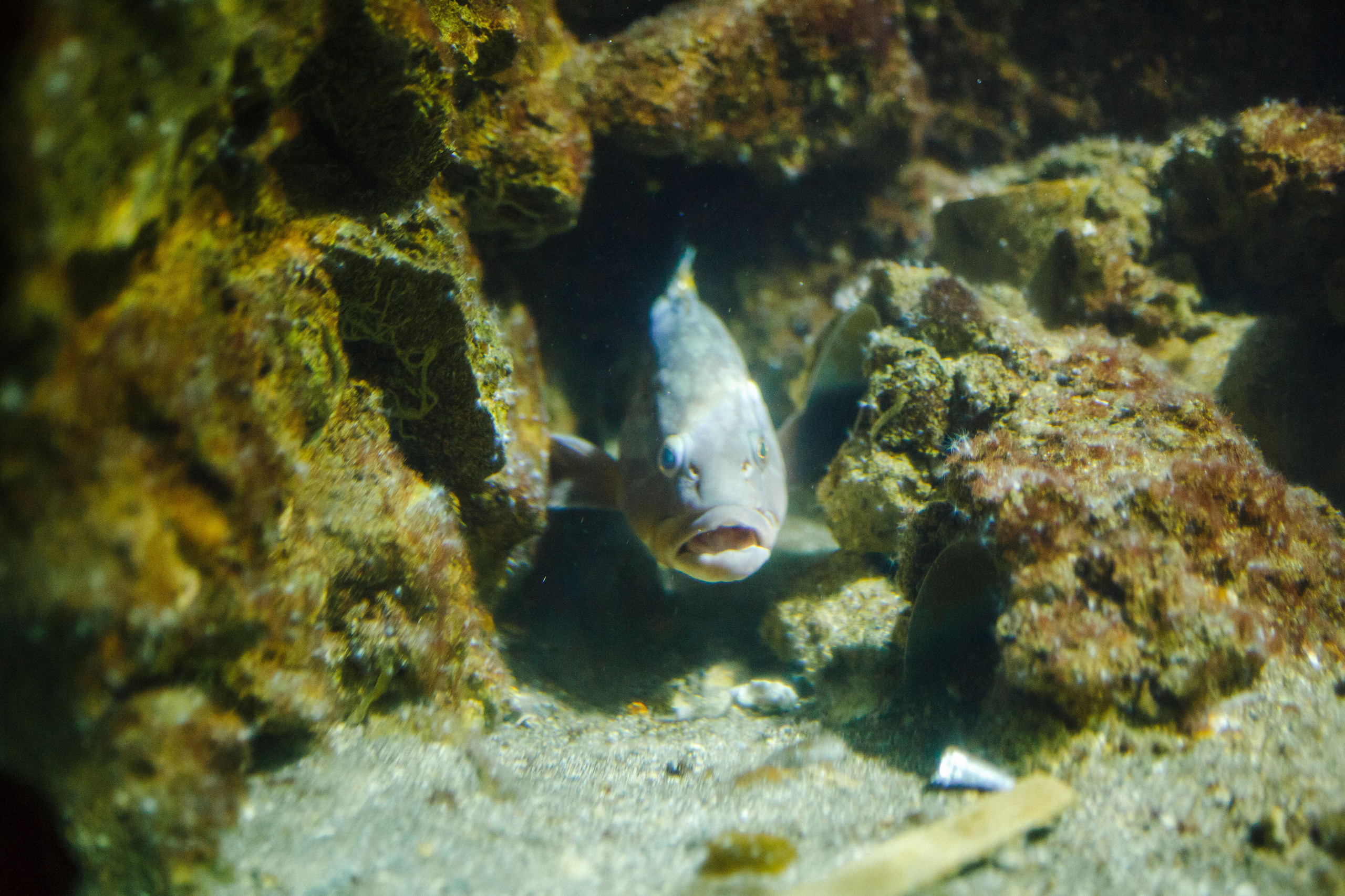 Путешествие на остров Родос, Греция. Блог о путешествии в Грецию. Свадебный фотограф в Санкт-Петербурге Никита Кузякин