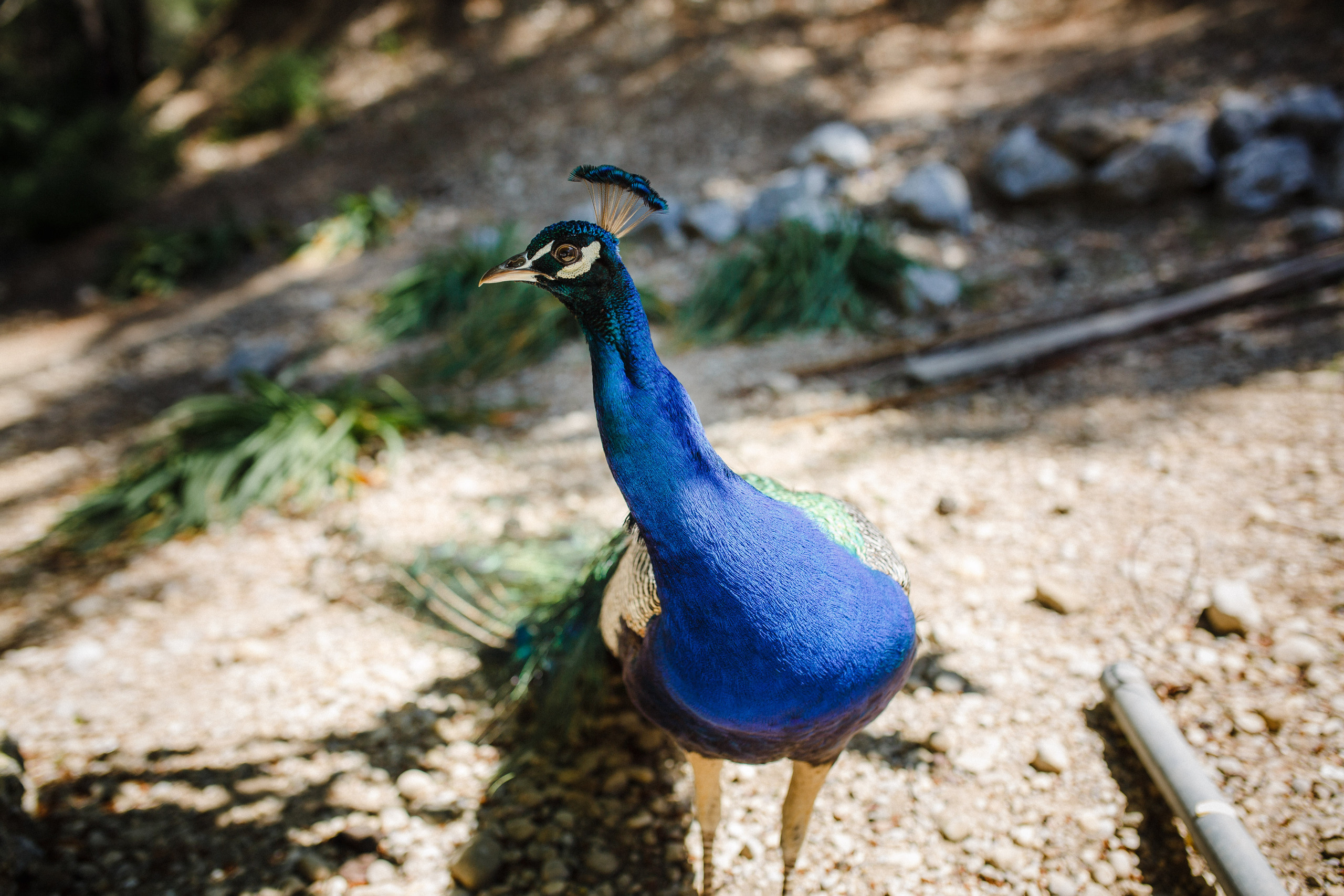 Путешествие на остров Родос, Греция. Блог о путешествии в Грецию. Свадебный фотограф в Санкт-Петербурге Никита Кузякин