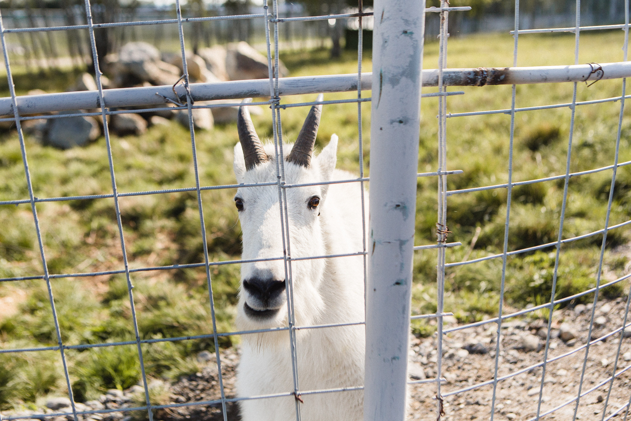 Поездка в Карелию, фототчет с поездки в Карелию. Свадебный фотограф в Санкт-Петербурге Никита Кузякин