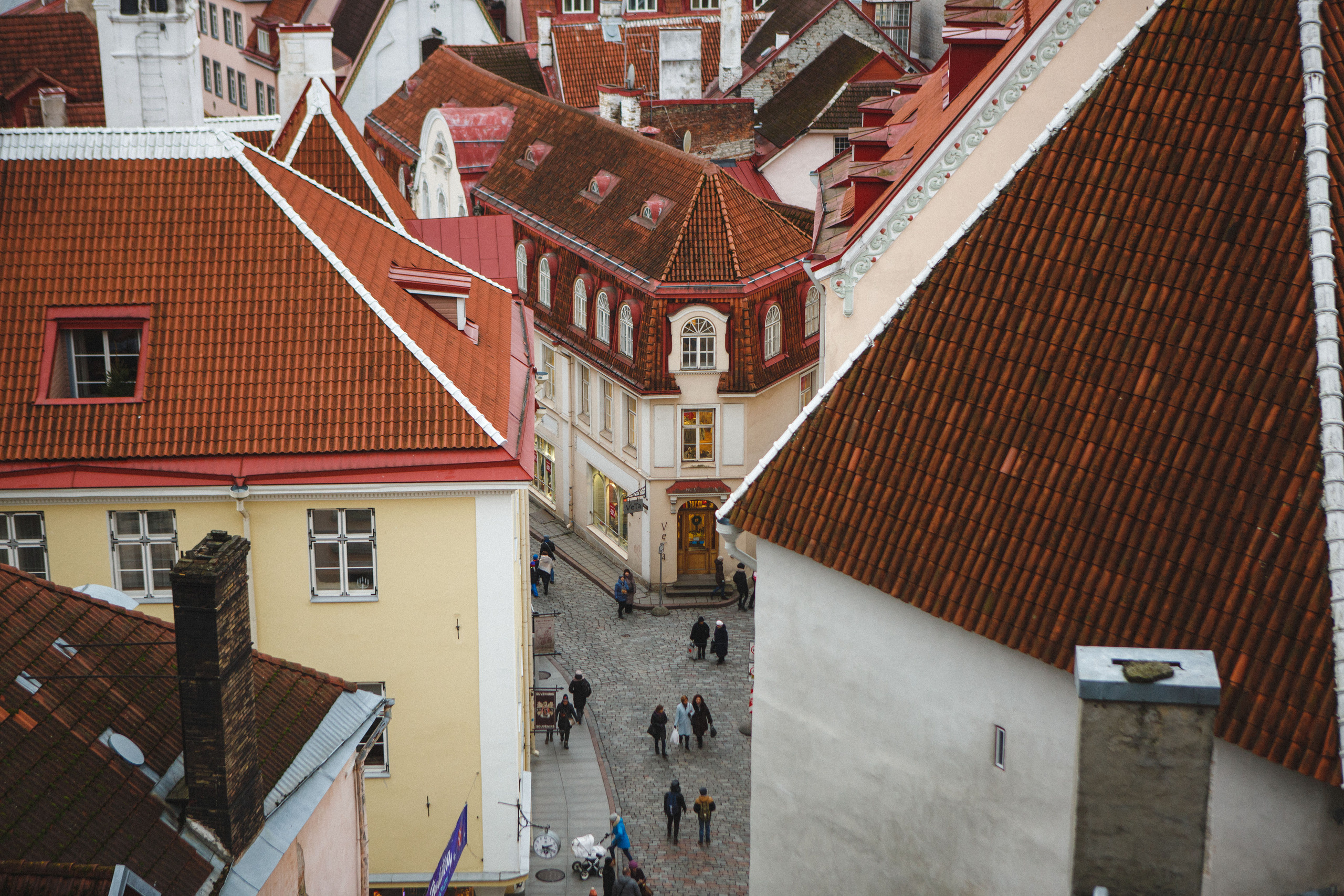 Путешествие в Таллин зимой, отчет о путешествии в Таллин зимой. Свадебный фотограф в Санкт-Петербурге Никита Кузякин