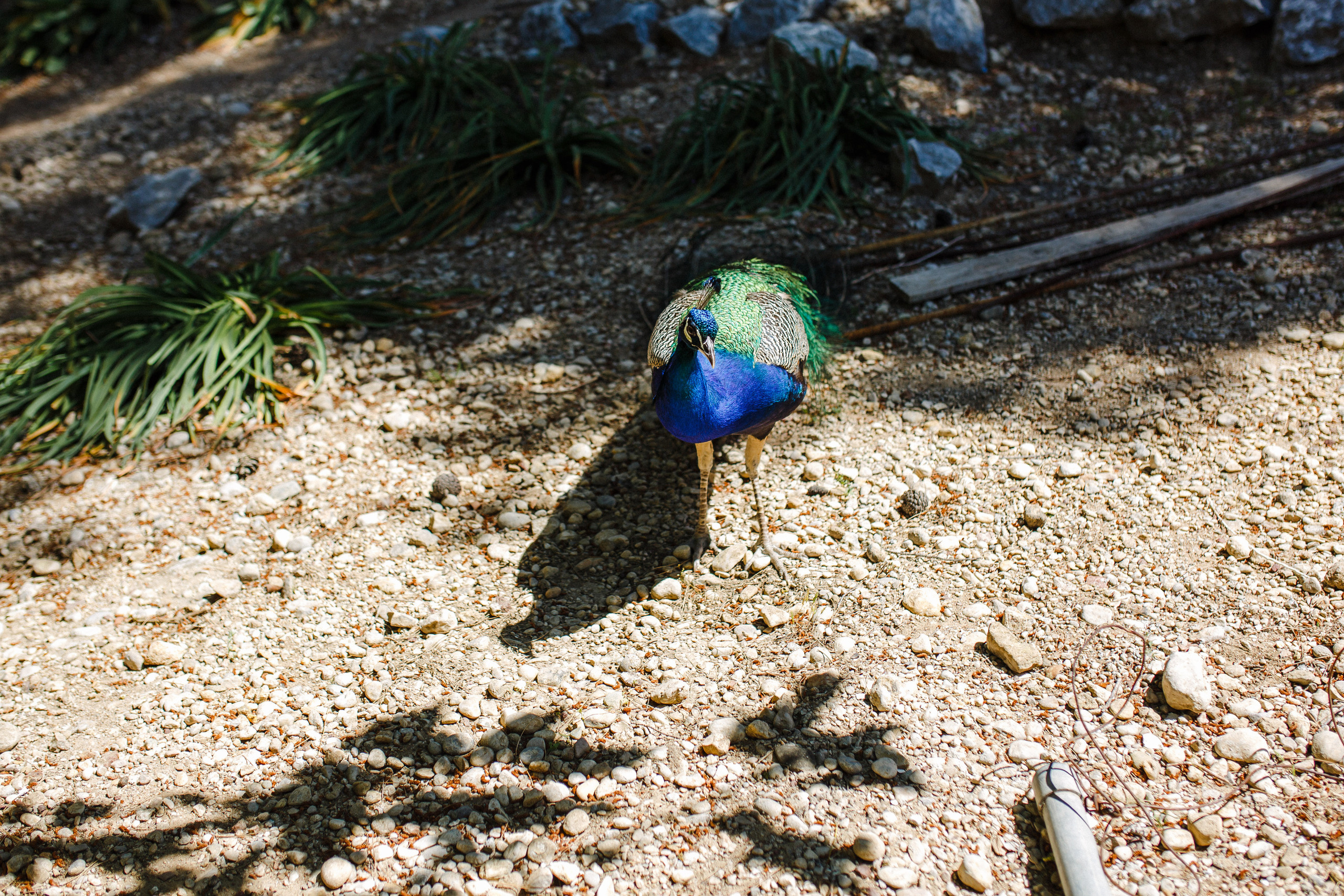 Путешествие на остров Родос, Греция. Блог о путешествии в Грецию. Свадебный фотограф в Санкт-Петербурге Никита Кузякин