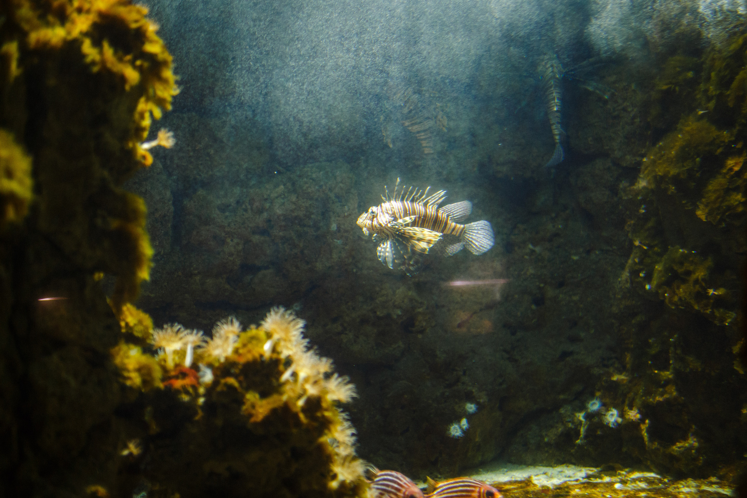 Путешествие на остров Родос, Греция. Блог о путешествии в Грецию. Свадебный фотограф в Санкт-Петербурге Никита Кузякин