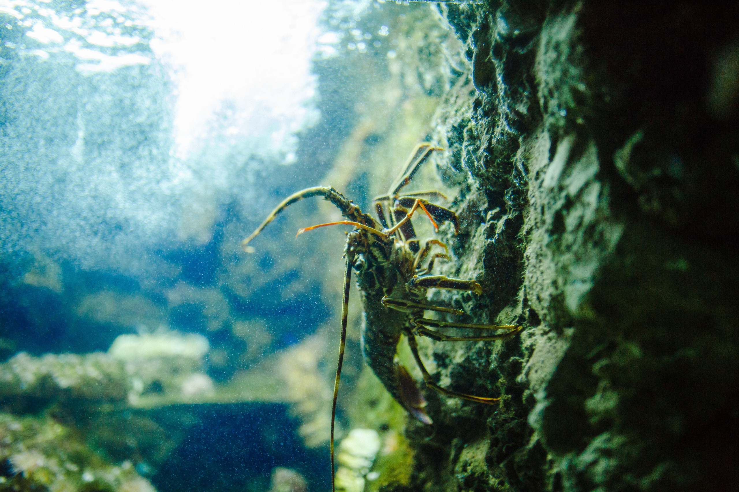 Путешествие на остров Родос, Греция. Блог о путешествии в Грецию. Свадебный фотограф в Санкт-Петербурге Никита Кузякин