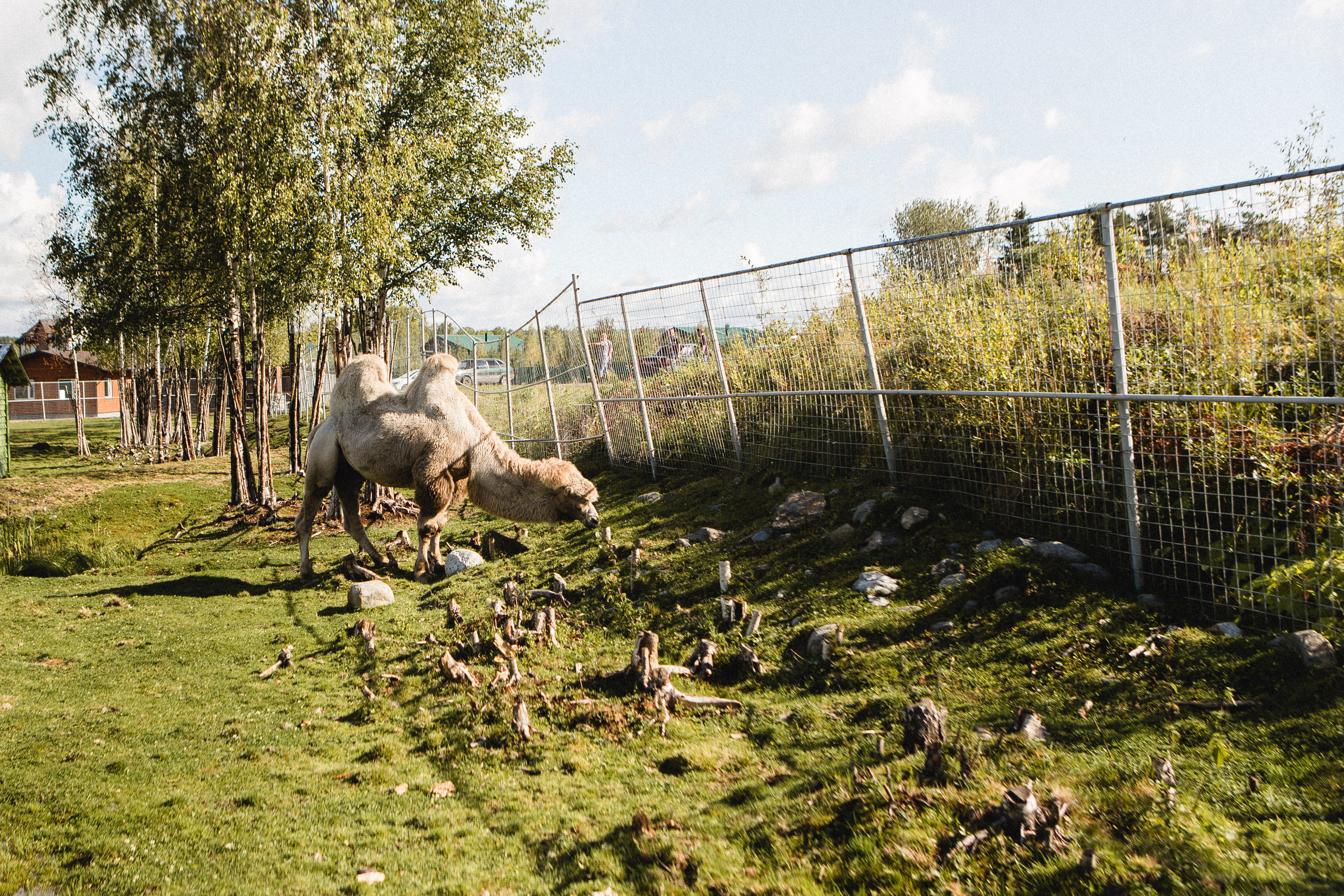 Поездка в Карелию, фототчет с поездки в Карелию. Свадебный фотограф в Санкт-Петербурге Никита Кузякин