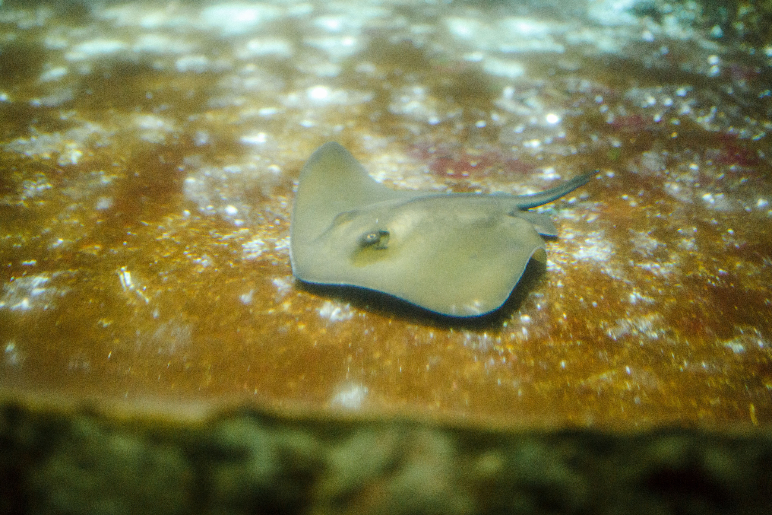 Путешествие на остров Родос, Греция. Блог о путешествии в Грецию. Свадебный фотограф в Санкт-Петербурге Никита Кузякин