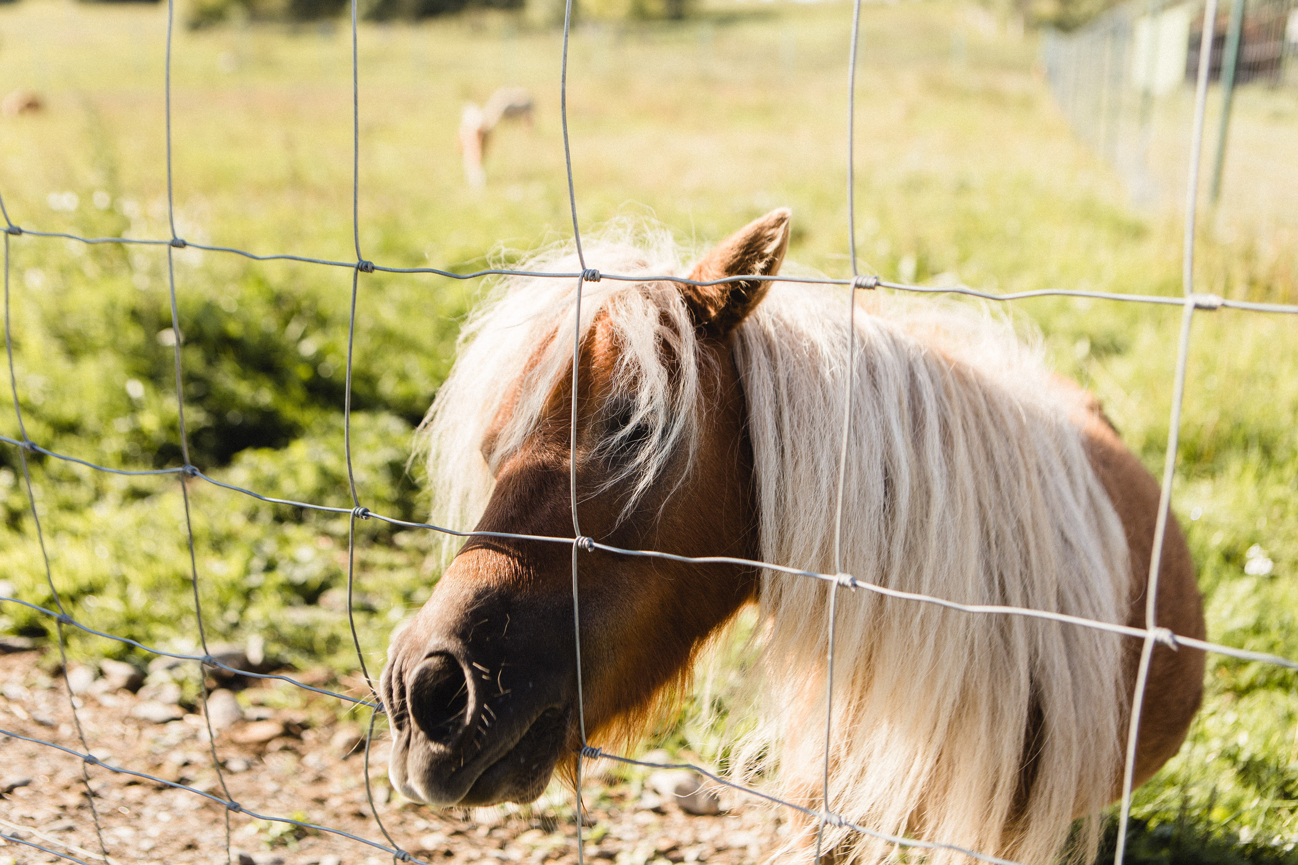 Поездка в Карелию, фототчет с поездки в Карелию. Свадебный фотограф в Санкт-Петербурге Никита Кузякин