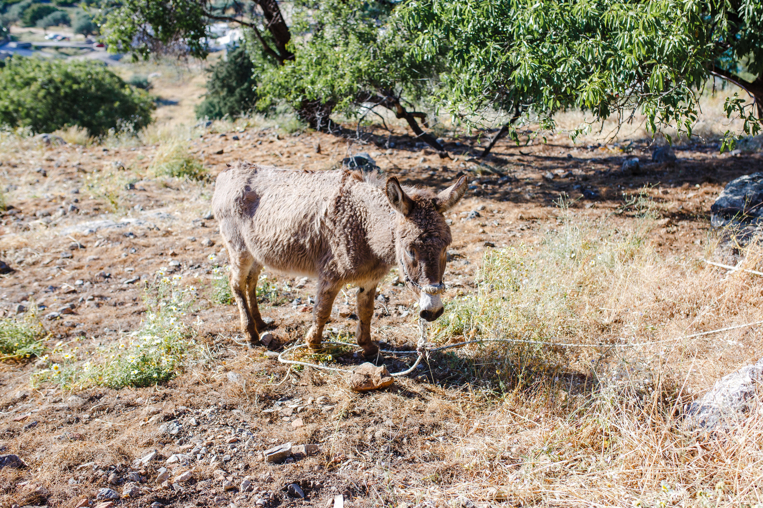 Путешествие на остров Родос, Греция. Блог о путешествии в Грецию. Свадебный фотограф в Санкт-Петербурге Никита Кузякин
