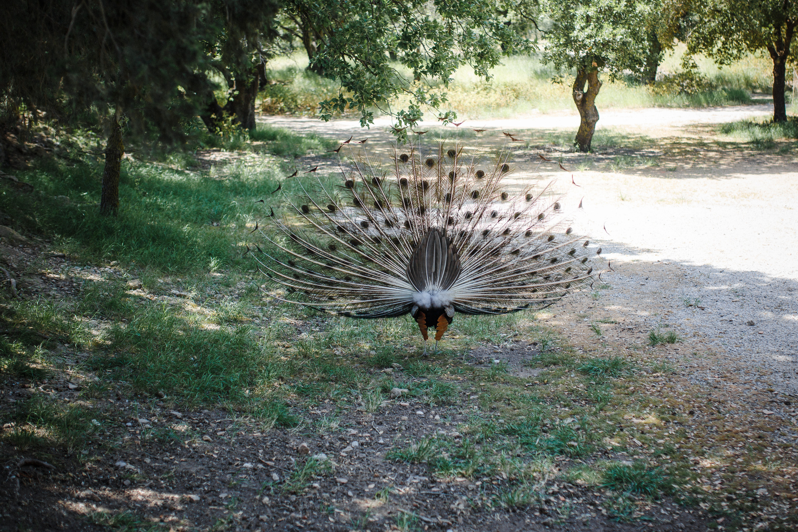 Путешествие на остров Родос, Греция. Блог о путешествии в Грецию. Свадебный фотограф в Санкт-Петербурге Никита Кузякин