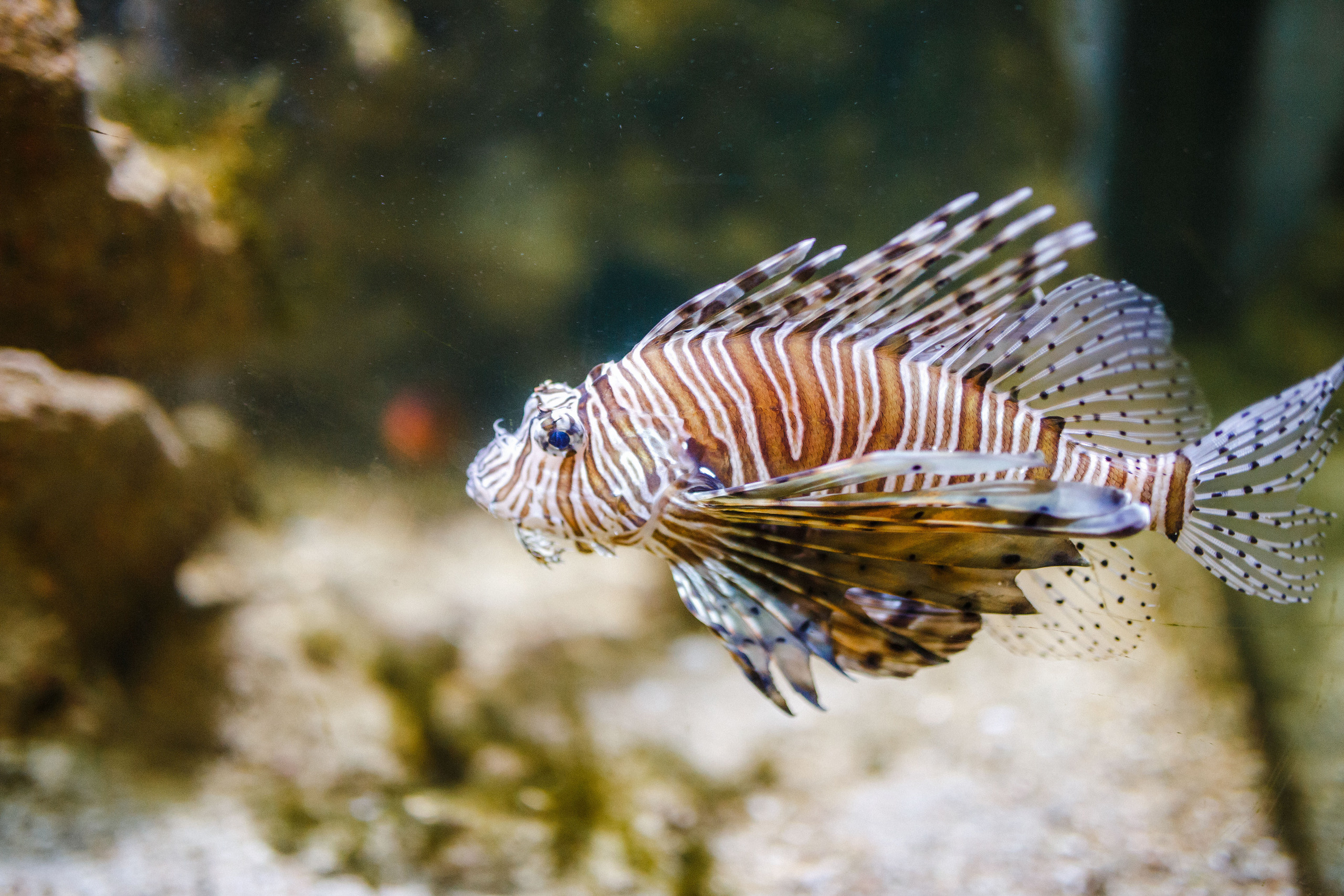 Путешествие на остров Родос, Греция. Блог о путешествии в Грецию. Свадебный фотограф в Санкт-Петербурге Никита Кузякин