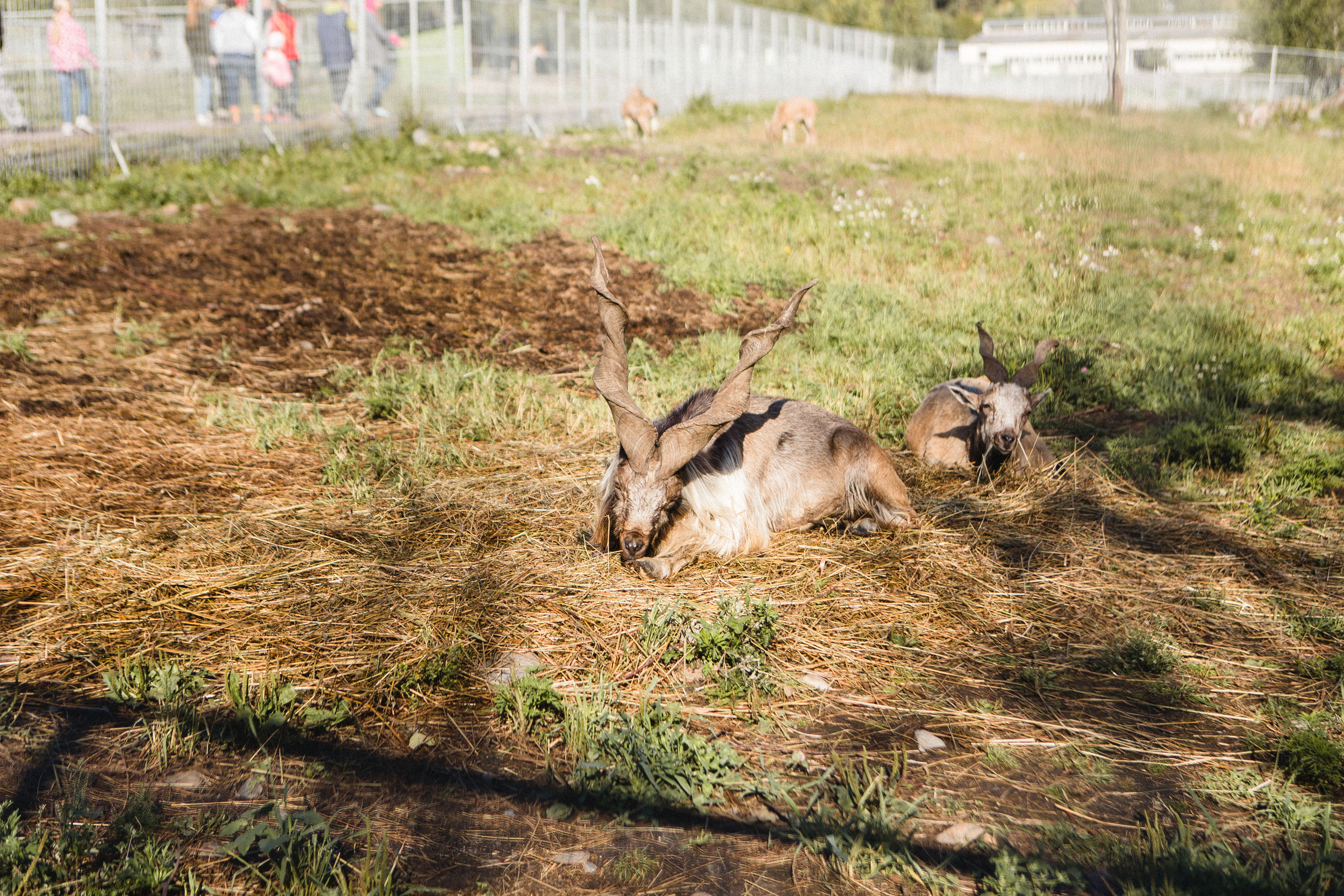 Поездка в Карелию, фототчет с поездки в Карелию. Свадебный фотограф в Санкт-Петербурге Никита Кузякин