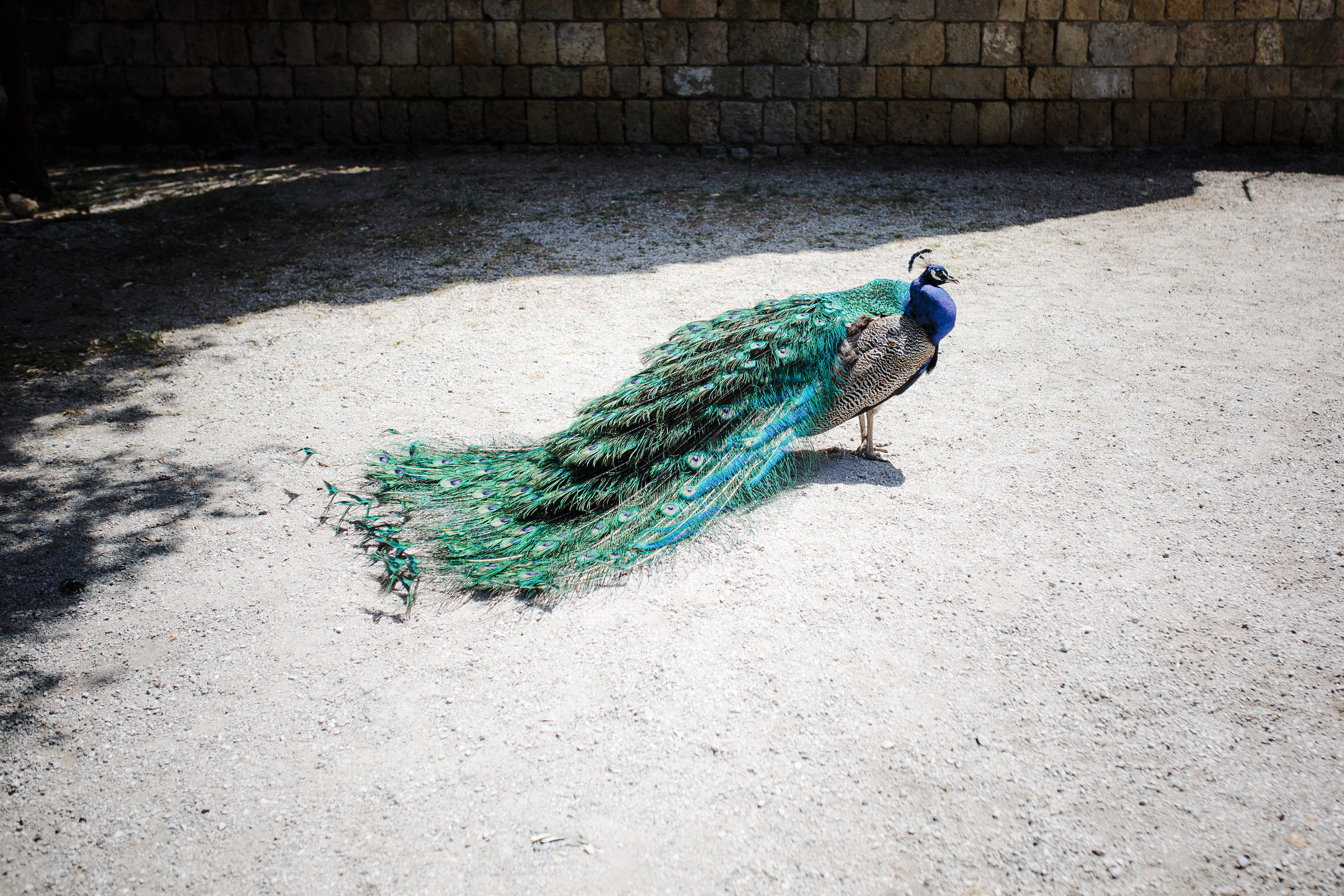 Путешествие на остров Родос, Греция. Блог о путешествии в Грецию. Свадебный фотограф в Санкт-Петербурге Никита Кузякин