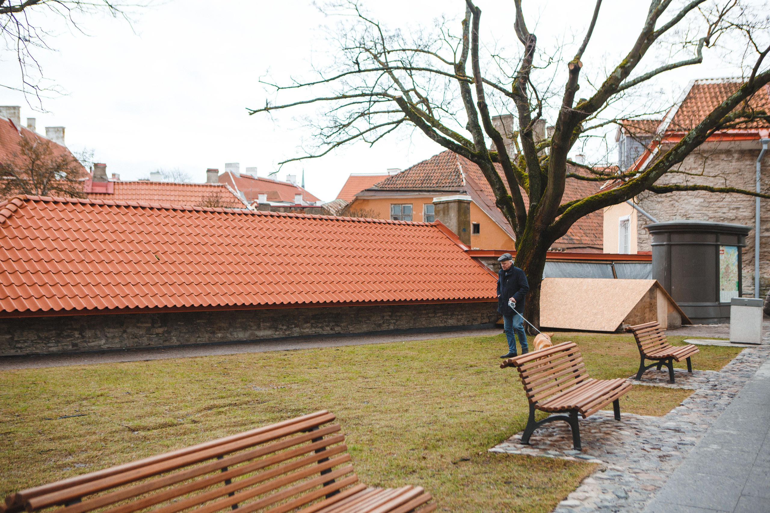 Путешествие в Таллин зимой, отчет о путешествии в Таллин зимой. Свадебный фотограф в Санкт-Петербурге Никита Кузякин
