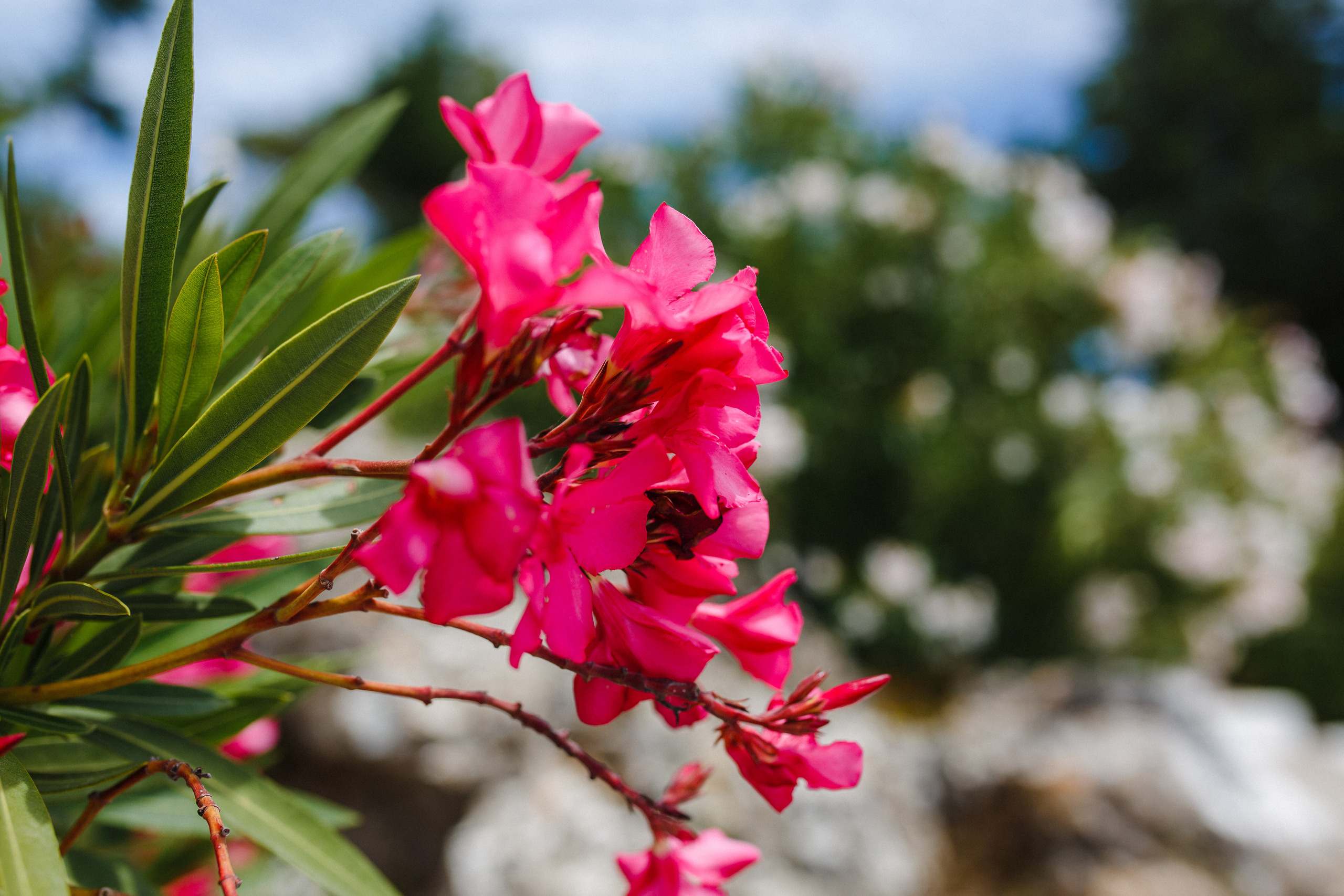 Путешествие на остров Родос, Греция. Блог о путешествии в Грецию. Свадебный фотограф в Санкт-Петербурге Никита Кузякин