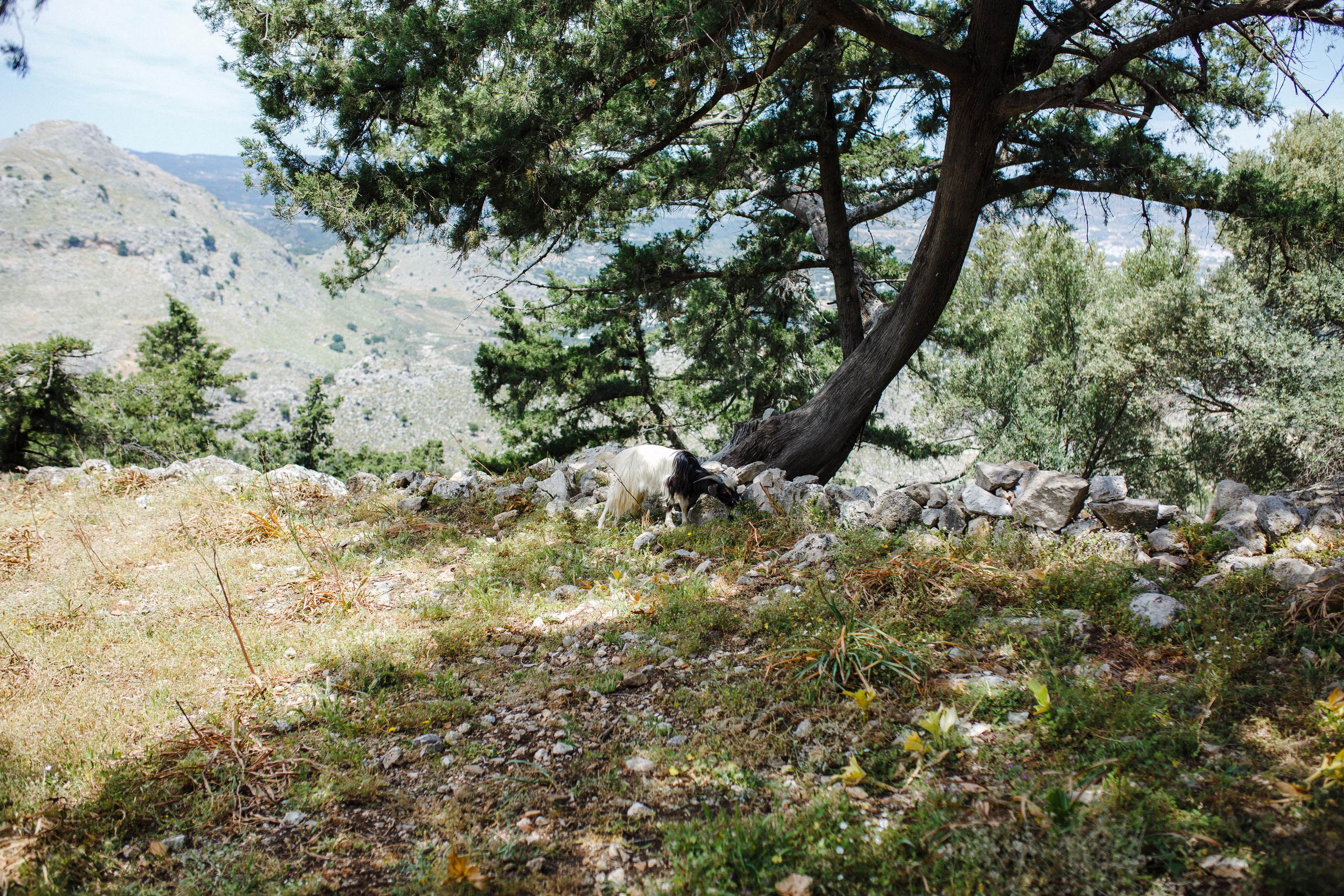 Путешествие на остров Родос, Греция. Блог о путешествии в Грецию. Свадебный фотограф в Санкт-Петербурге Никита Кузякин