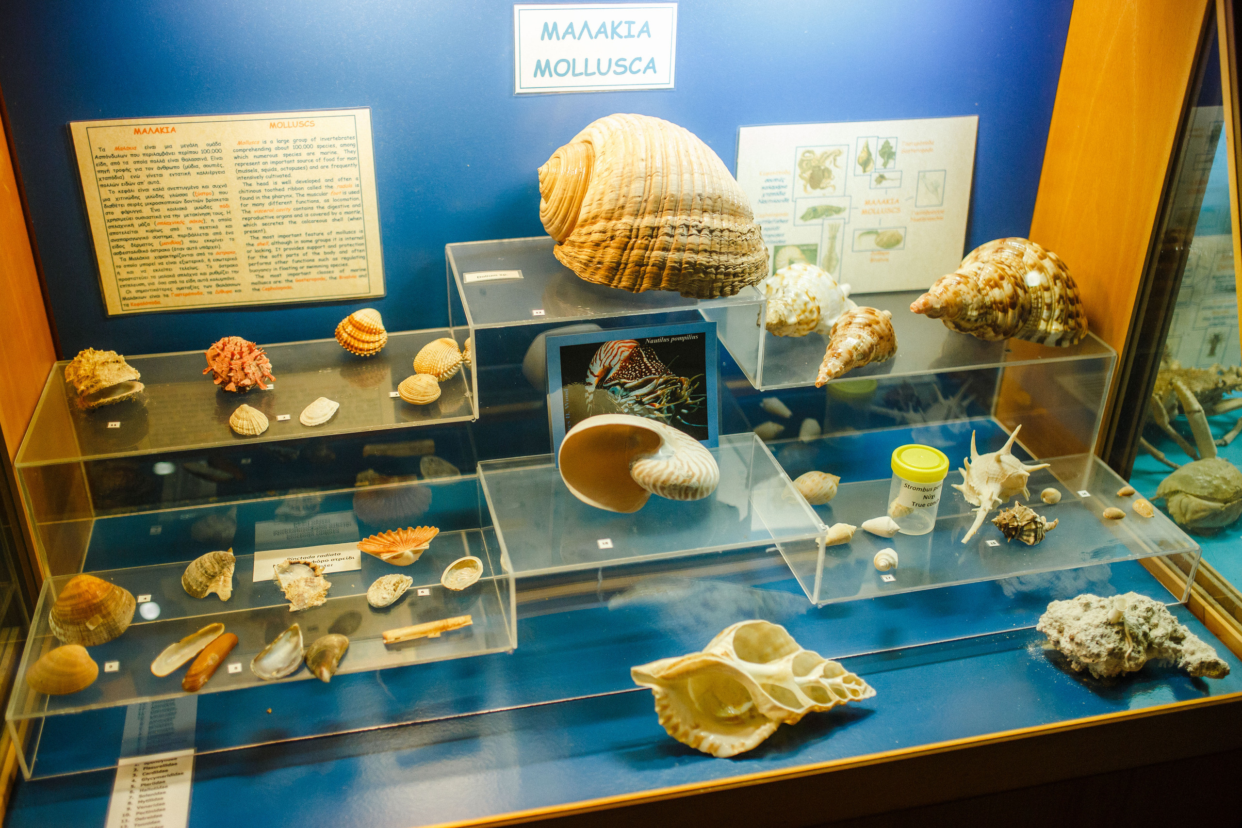 Путешествие на остров Родос, Греция. Блог о путешествии в Грецию. Свадебный фотограф в Санкт-Петербурге Никита Кузякин