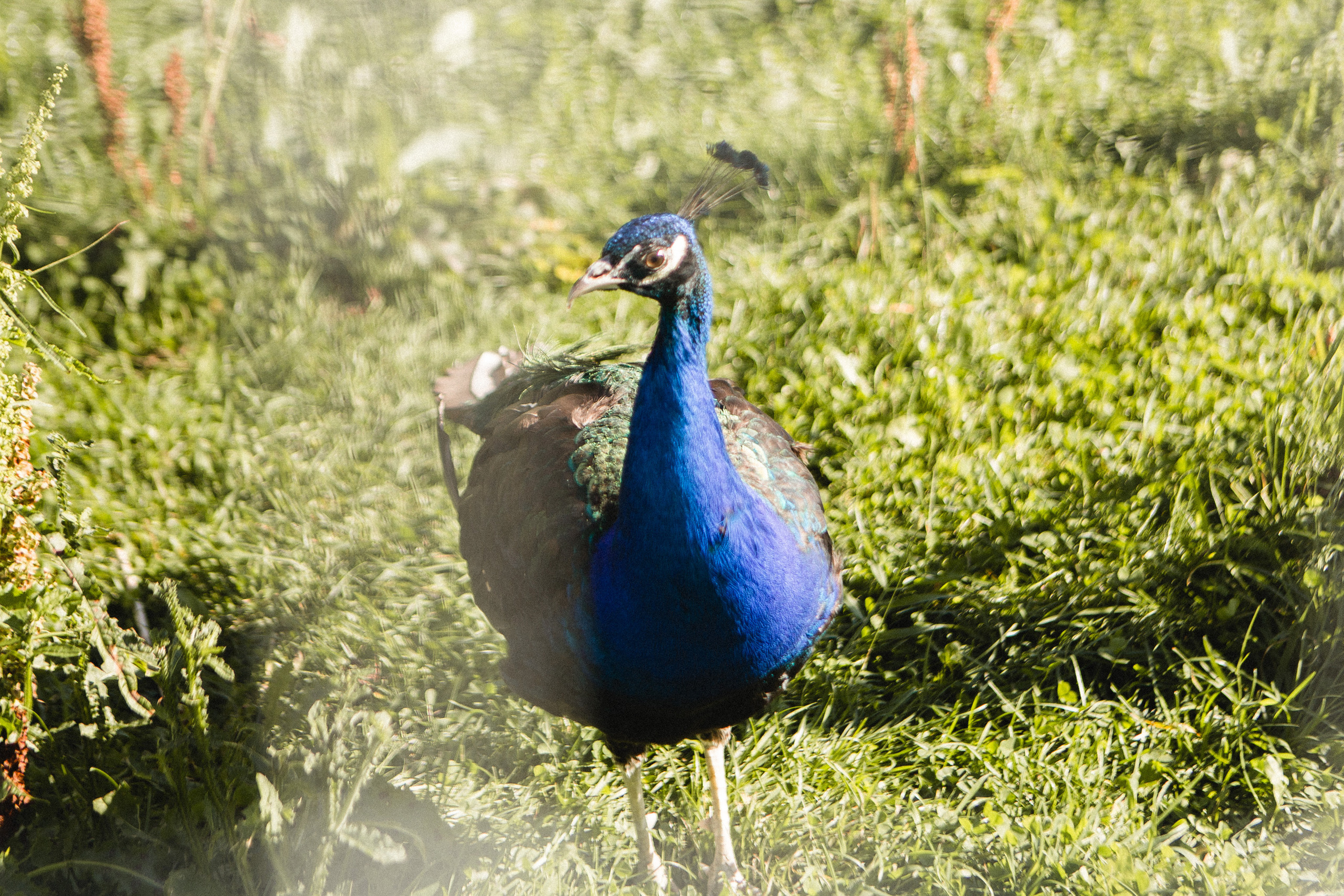 Поездка в Карелию, фототчет с поездки в Карелию. Свадебный фотограф в Санкт-Петербурге Никита Кузякин