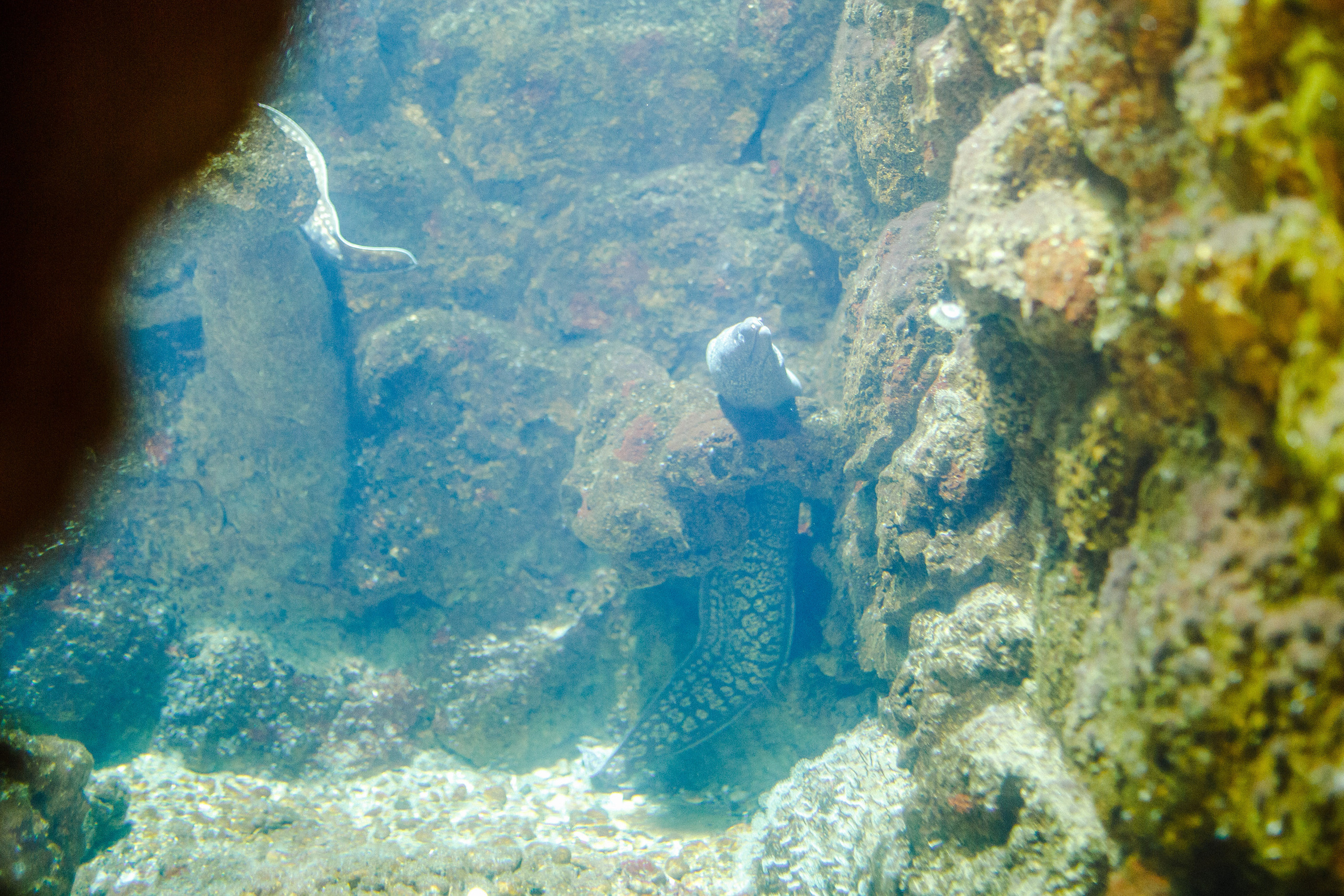 Путешествие на остров Родос, Греция. Блог о путешествии в Грецию. Свадебный фотограф в Санкт-Петербурге Никита Кузякин