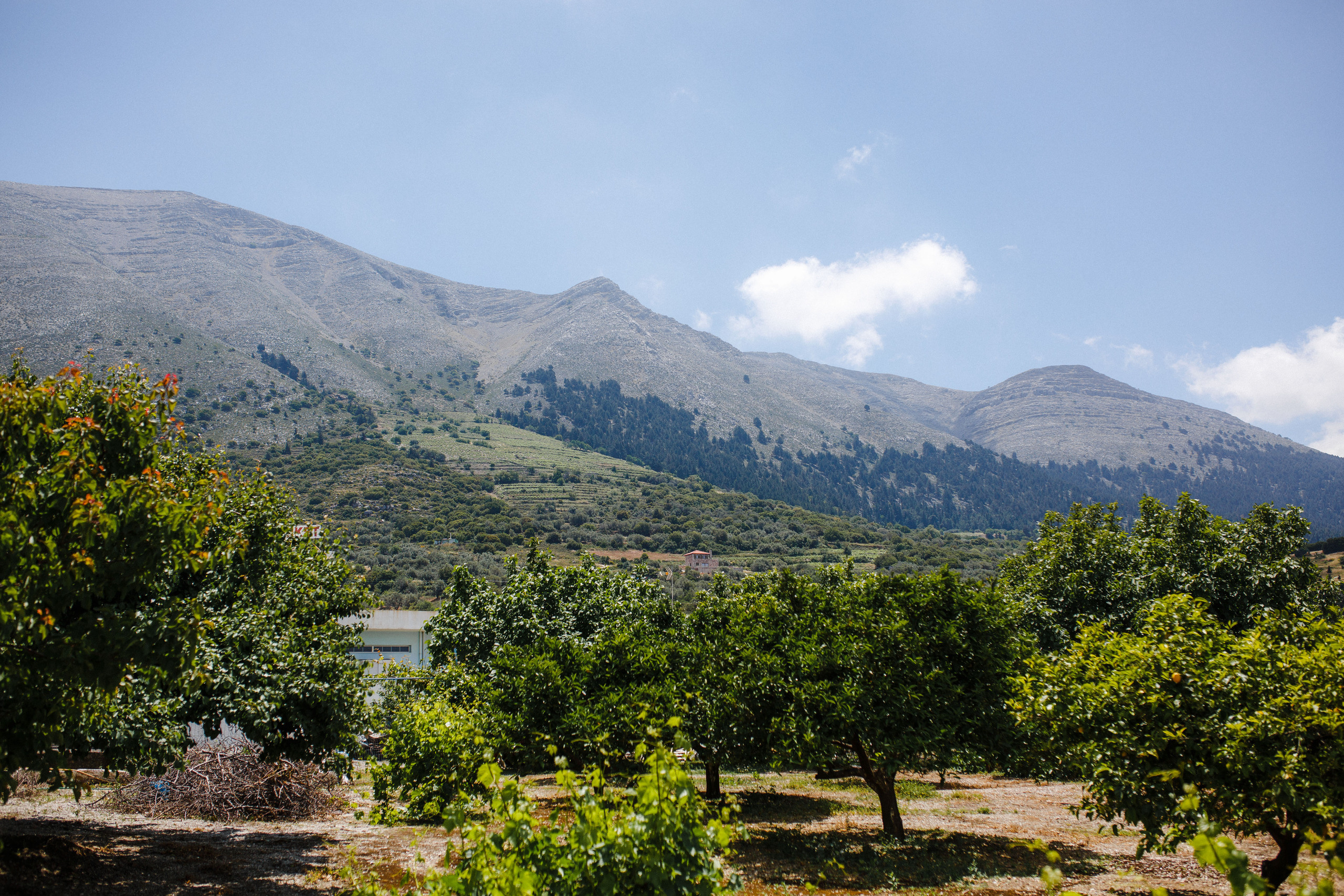 Путешествие на остров Родос, Греция. Блог о путешествии в Грецию. Свадебный фотограф в Санкт-Петербурге Никита Кузякин