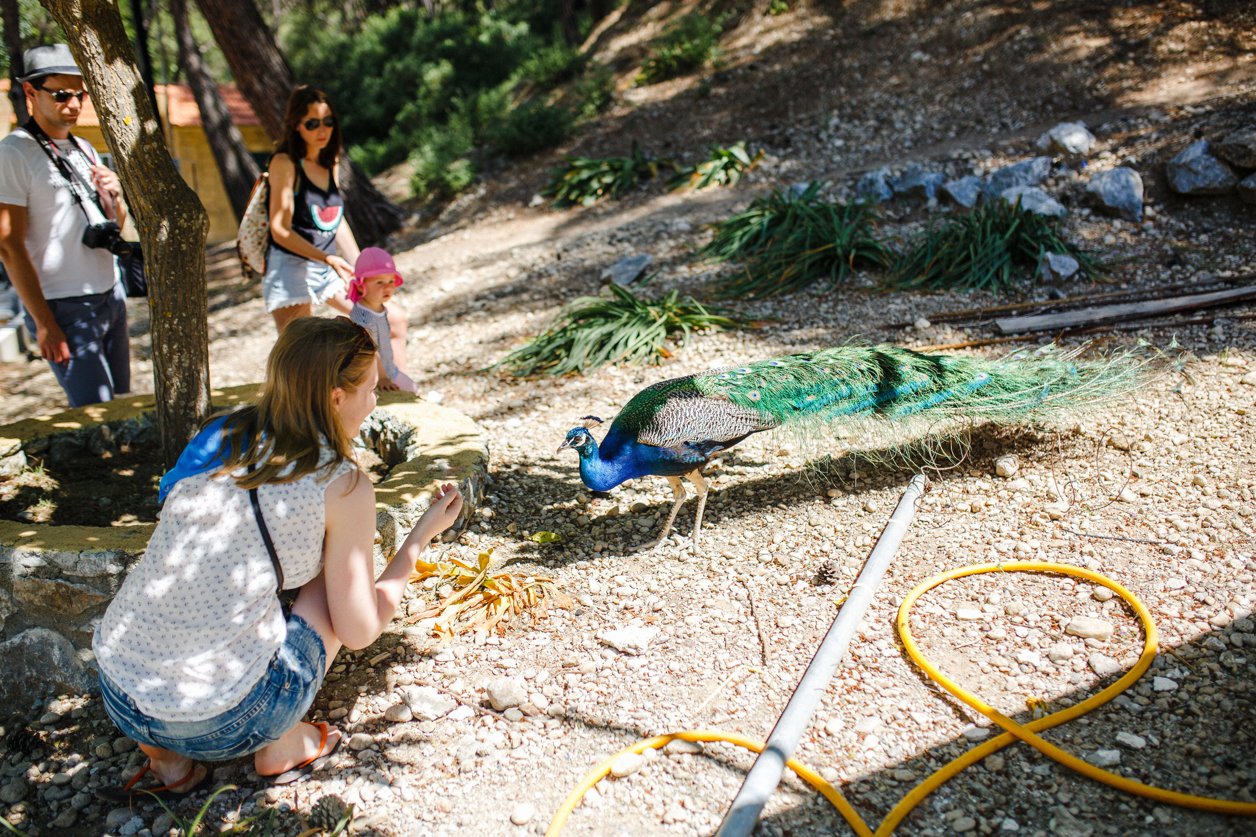 Путешествие на остров Родос, Греция. Блог о путешествии в Грецию. Свадебный фотограф в Санкт-Петербурге Никита Кузякин