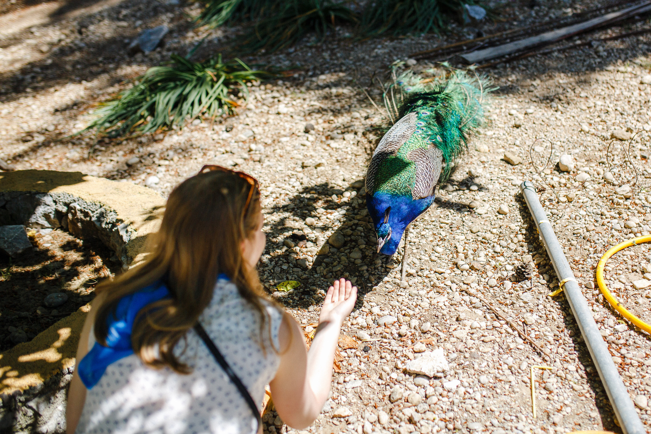 Путешествие на остров Родос, Греция. Блог о путешествии в Грецию. Свадебный фотограф в Санкт-Петербурге Никита Кузякин