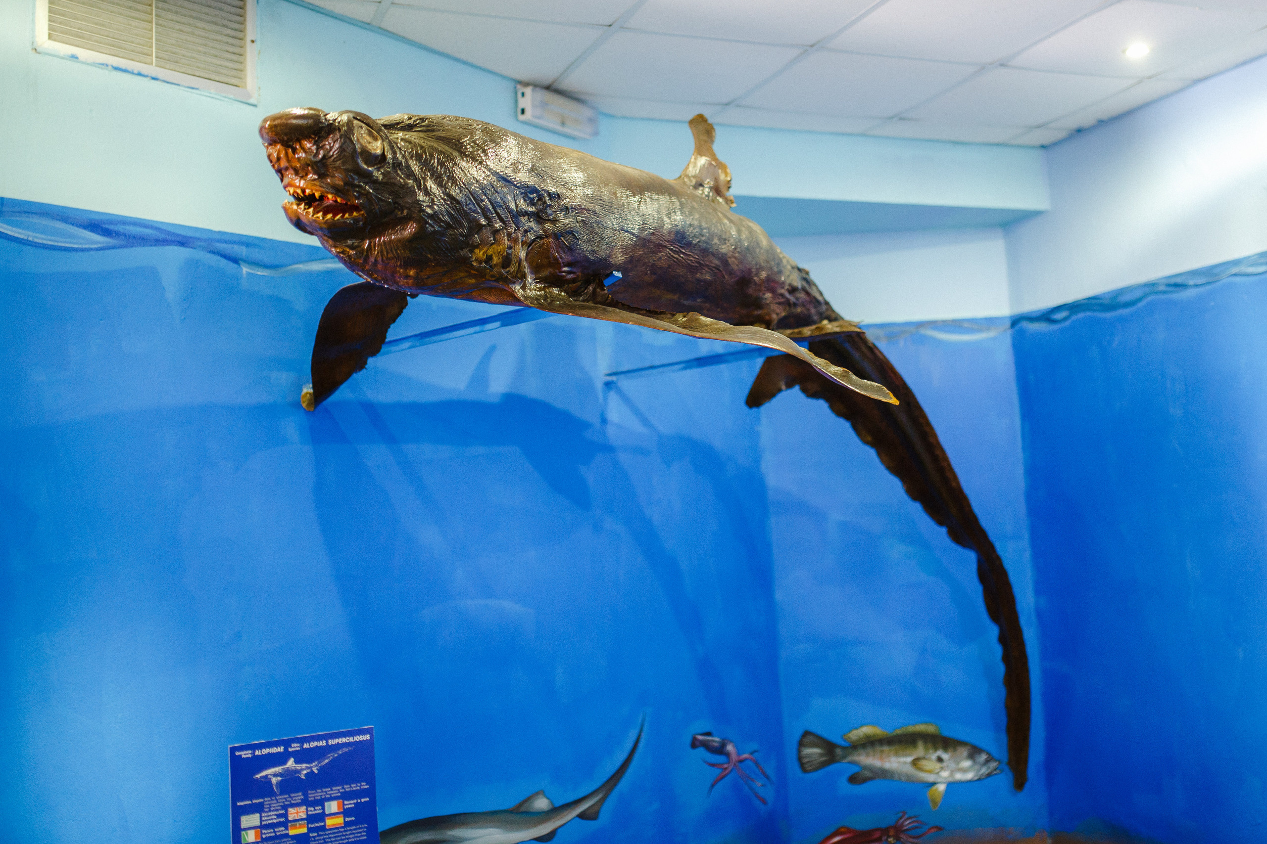 Путешествие на остров Родос, Греция. Блог о путешествии в Грецию. Свадебный фотограф в Санкт-Петербурге Никита Кузякин