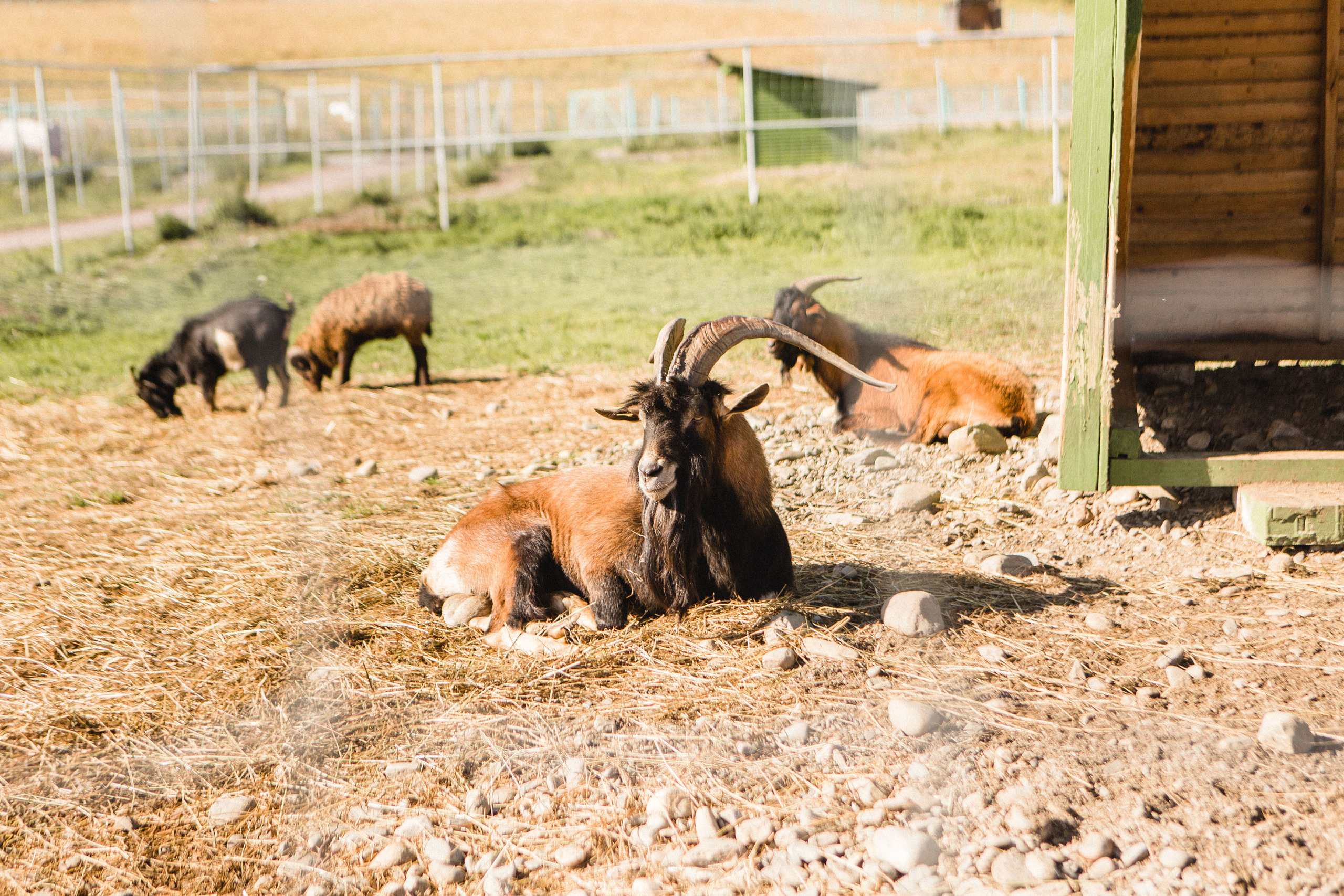 Поездка в Карелию, фототчет с поездки в Карелию. Свадебный фотограф в Санкт-Петербурге Никита Кузякин