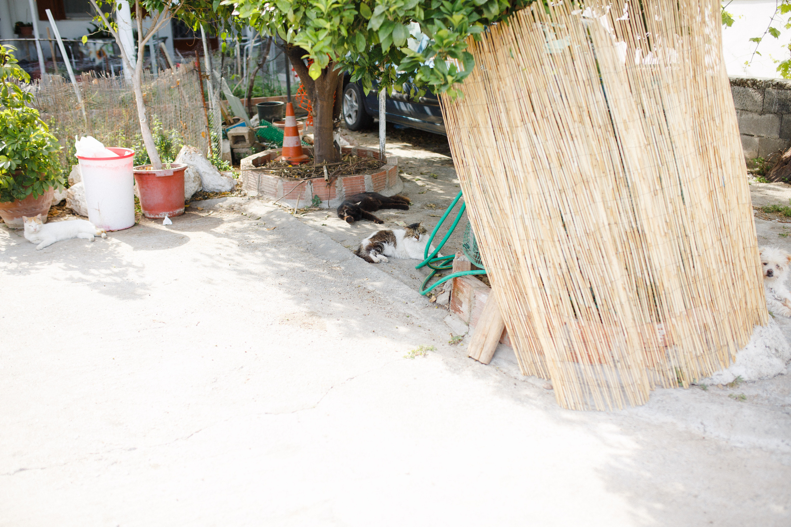 Путешествие на остров Родос, Греция. Блог о путешествии в Грецию. Свадебный фотограф в Санкт-Петербурге Никита Кузякин