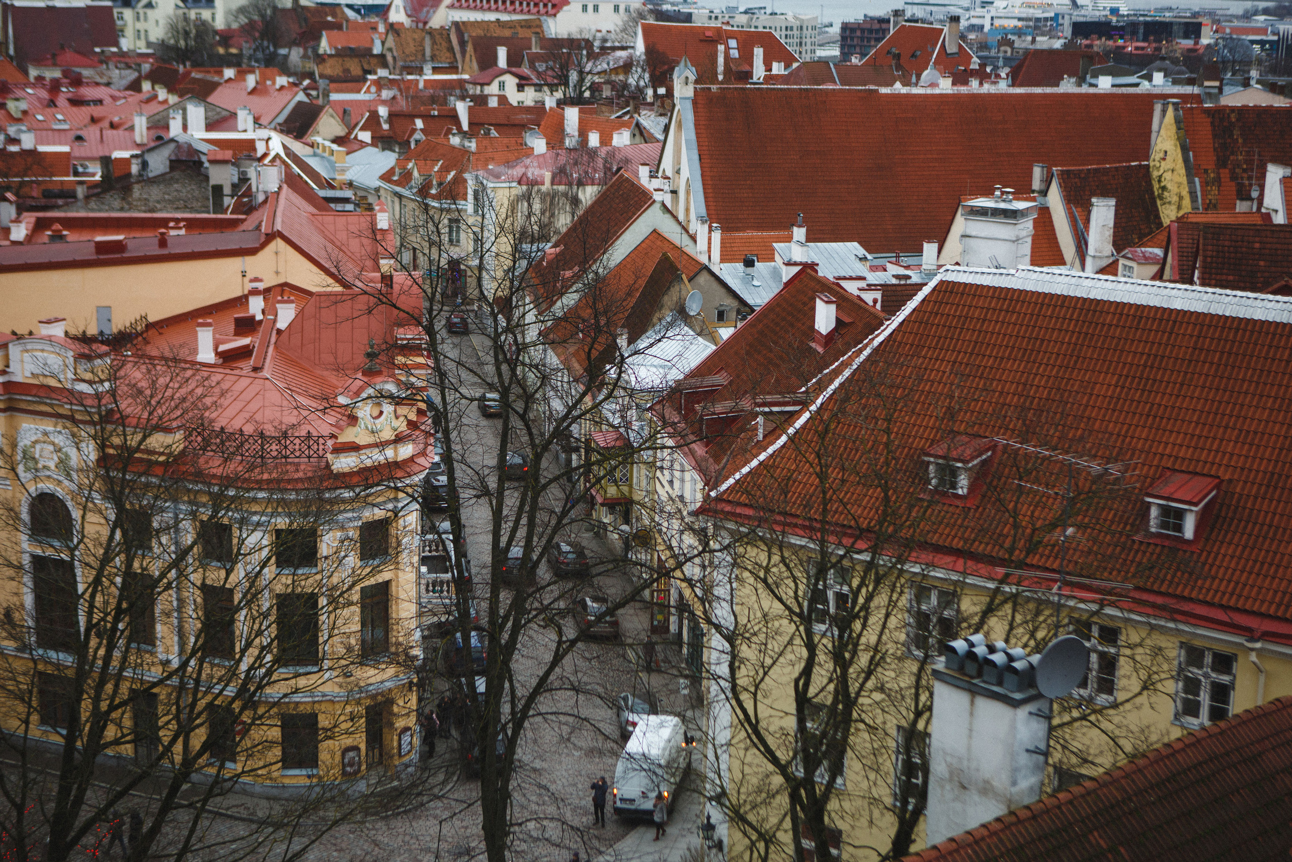 Путешествие в Таллин зимой, отчет о путешествии в Таллин зимой. Свадебный фотограф в Санкт-Петербурге Никита Кузякин