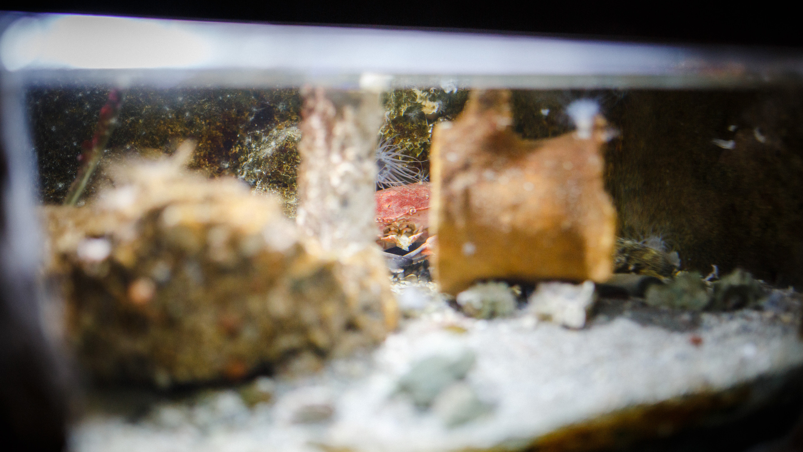 Путешествие на остров Родос, Греция. Блог о путешествии в Грецию. Свадебный фотограф в Санкт-Петербурге Никита Кузякин