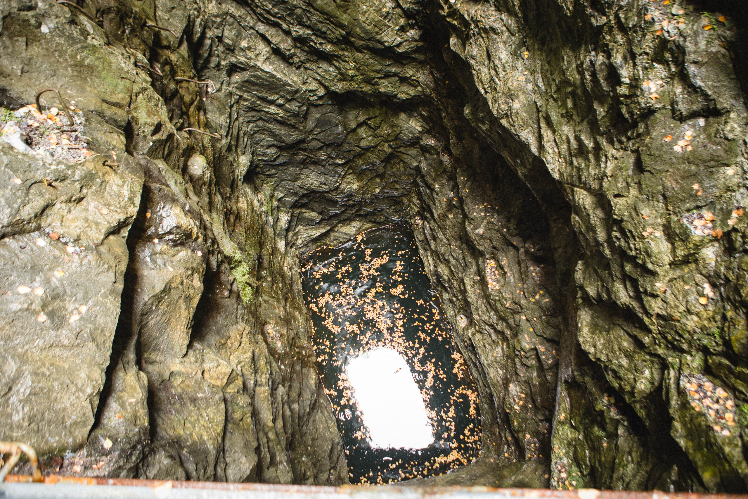 Поездка в Карелию, фототчет с поездки в Карелию. Свадебный фотограф в Санкт-Петербурге Никита Кузякин