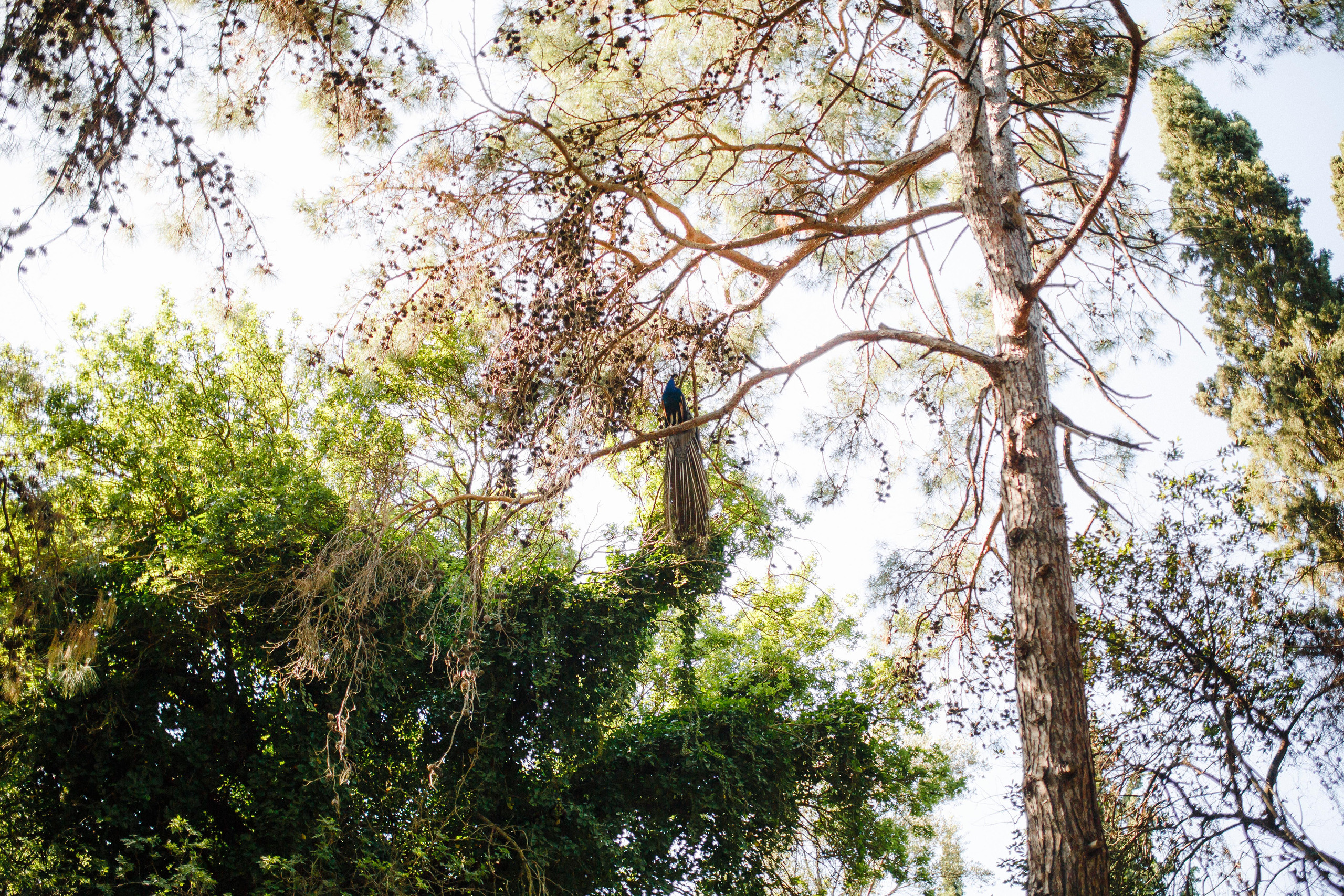 Путешествие на остров Родос, Греция. Блог о путешествии в Грецию. Свадебный фотограф в Санкт-Петербурге Никита Кузякин