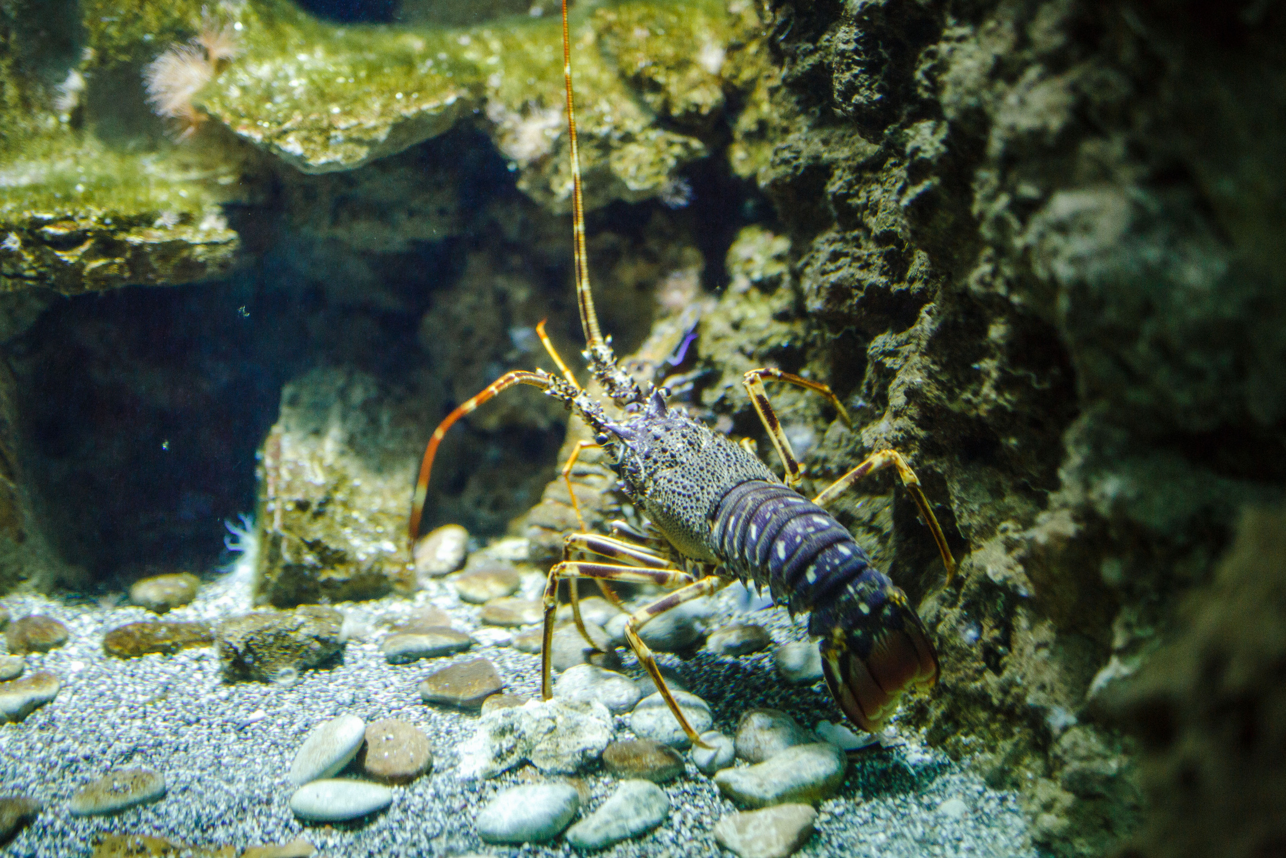 Путешествие на остров Родос, Греция. Блог о путешествии в Грецию. Свадебный фотограф в Санкт-Петербурге Никита Кузякин