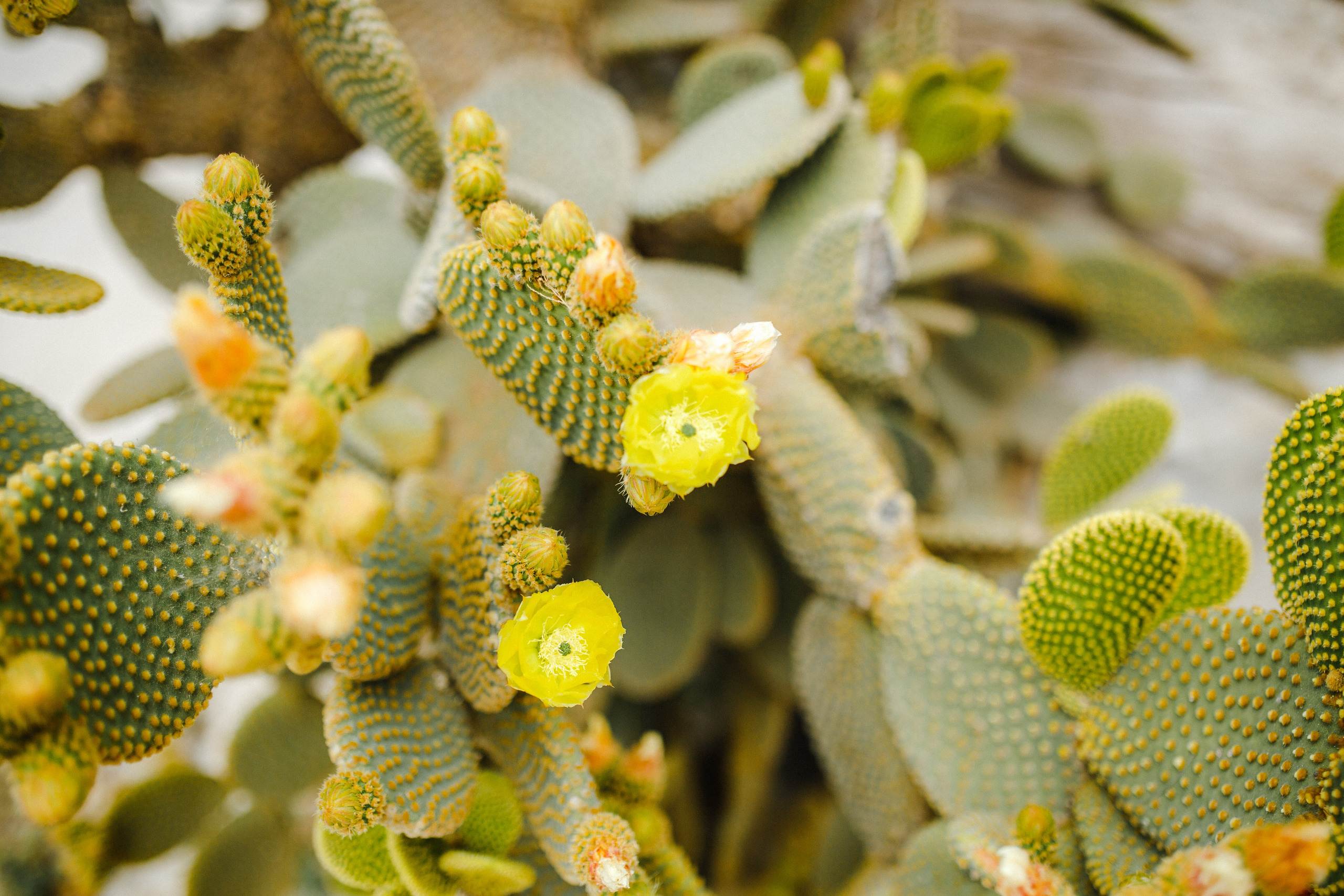 Путешествие на остров Родос, Греция. Блог о путешествии в Грецию. Свадебный фотограф в Санкт-Петербурге Никита Кузякин