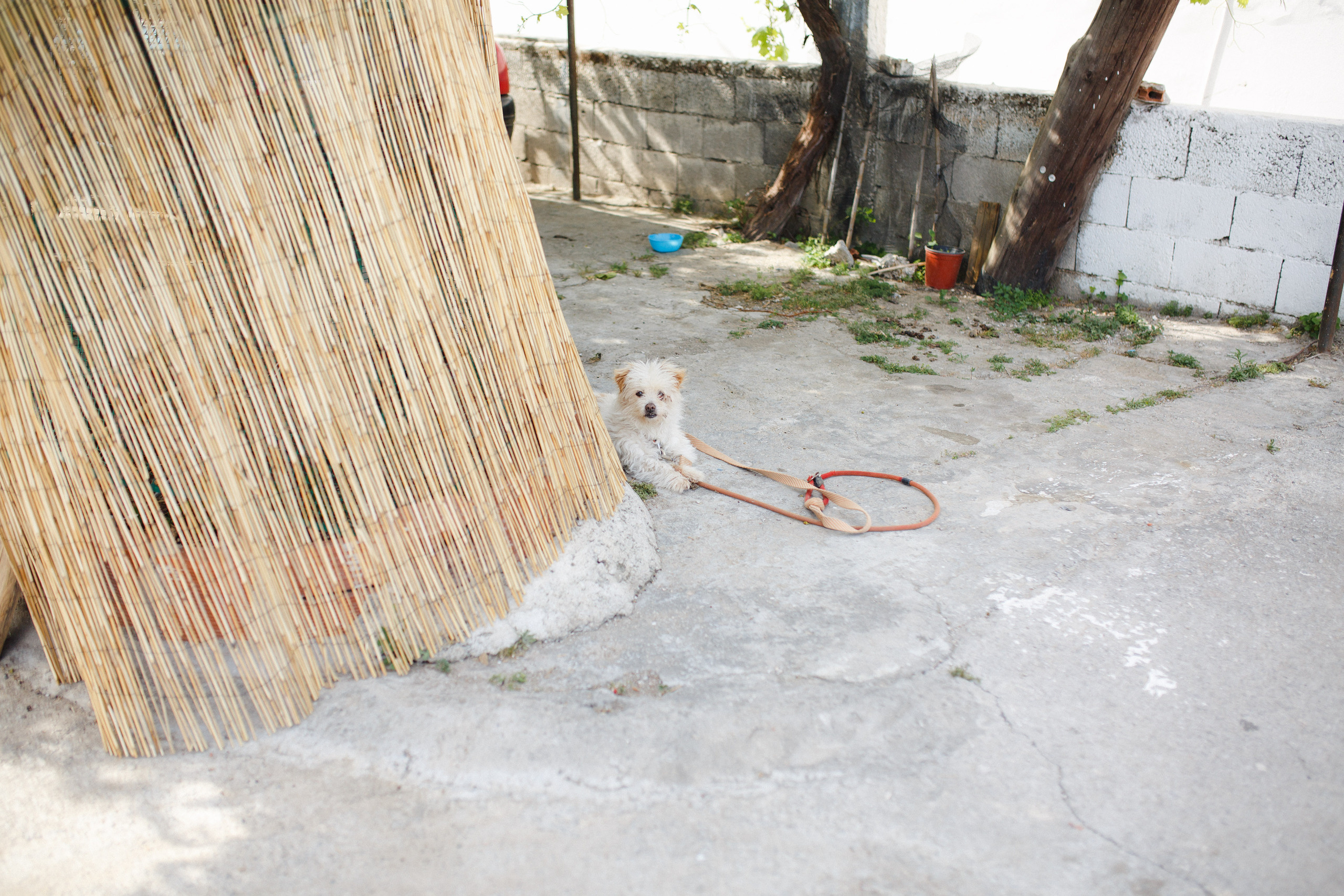 Путешествие на остров Родос, Греция. Блог о путешествии в Грецию. Свадебный фотограф в Санкт-Петербурге Никита Кузякин