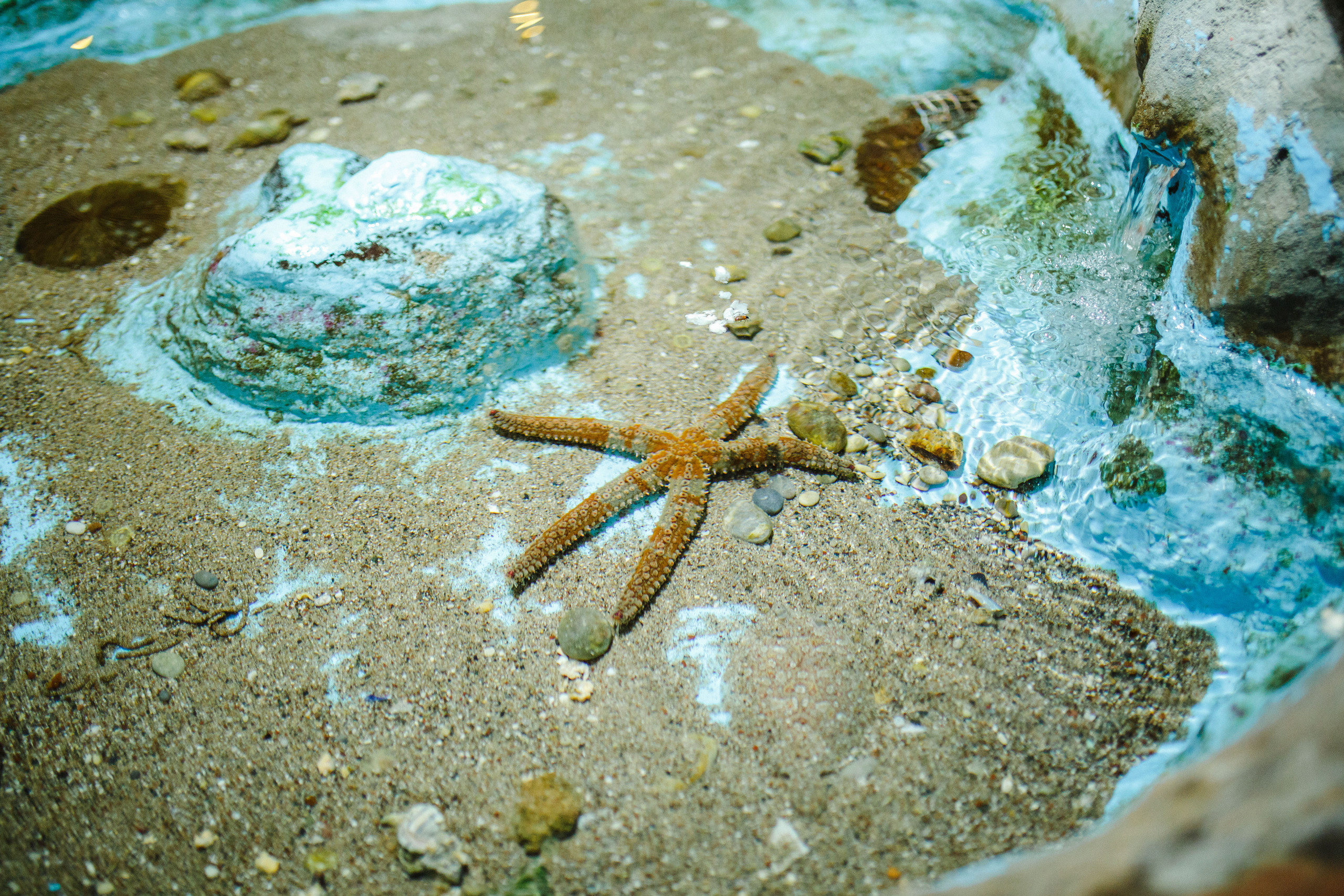 Путешествие на остров Родос, Греция. Блог о путешествии в Грецию. Свадебный фотограф в Санкт-Петербурге Никита Кузякин