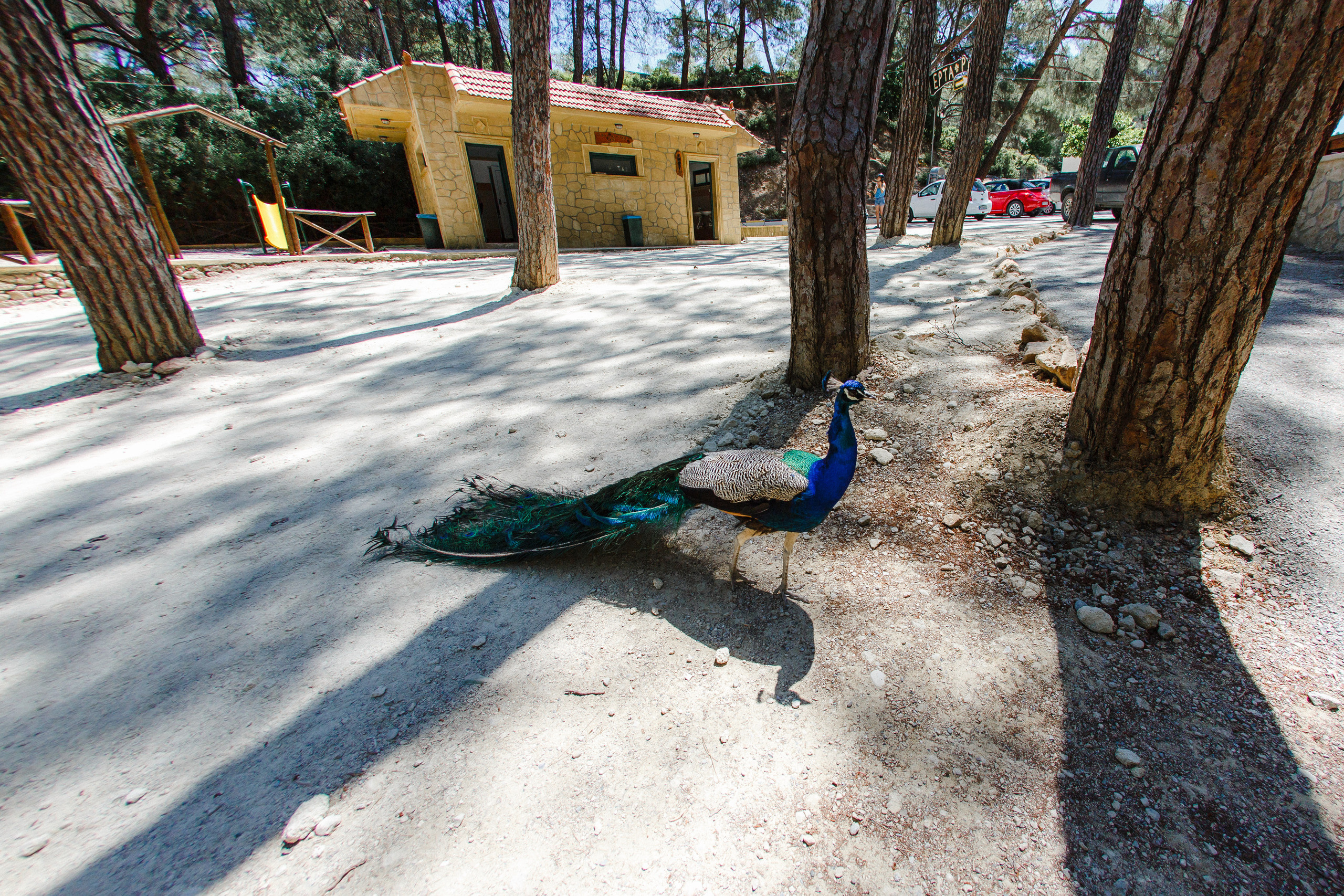 Путешествие на остров Родос, Греция. Блог о путешествии в Грецию. Свадебный фотограф в Санкт-Петербурге Никита Кузякин
