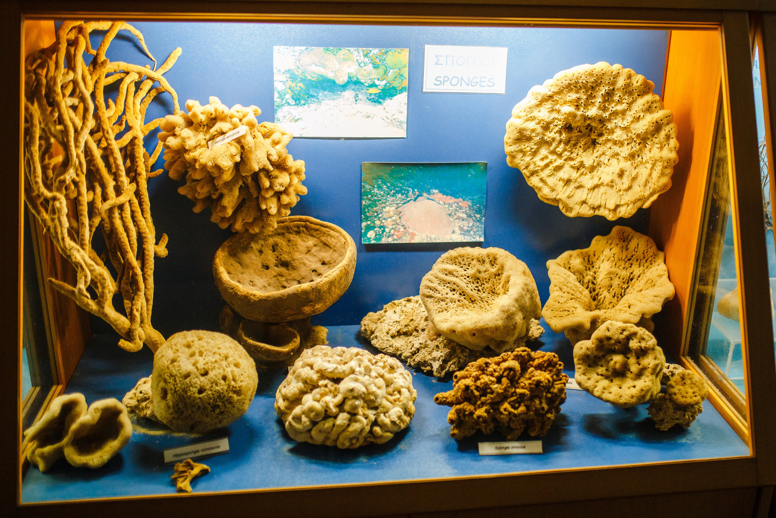 Путешествие на остров Родос, Греция. Блог о путешествии в Грецию. Свадебный фотограф в Санкт-Петербурге Никита Кузякин