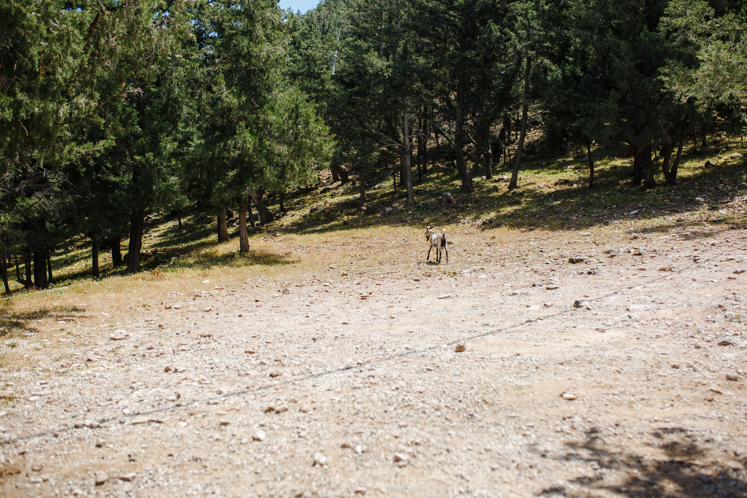 Путешествие на остров Родос, Греция. Блог о путешествии в Грецию. Свадебный фотограф в Санкт-Петербурге Никита Кузякин