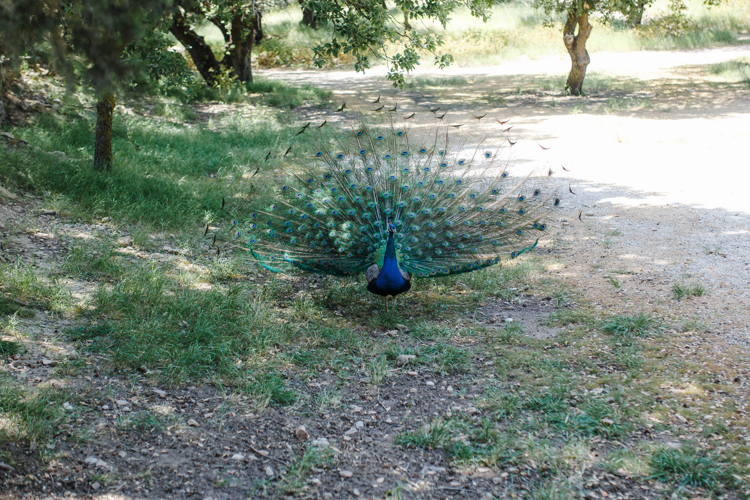 Путешествие на остров Родос, Греция. Блог о путешествии в Грецию. Свадебный фотограф в Санкт-Петербурге Никита Кузякин