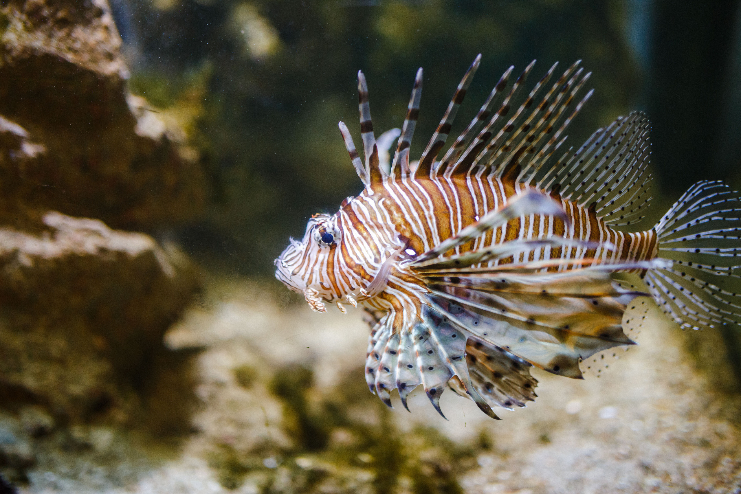 Путешествие на остров Родос, Греция. Блог о путешествии в Грецию. Свадебный фотограф в Санкт-Петербурге Никита Кузякин