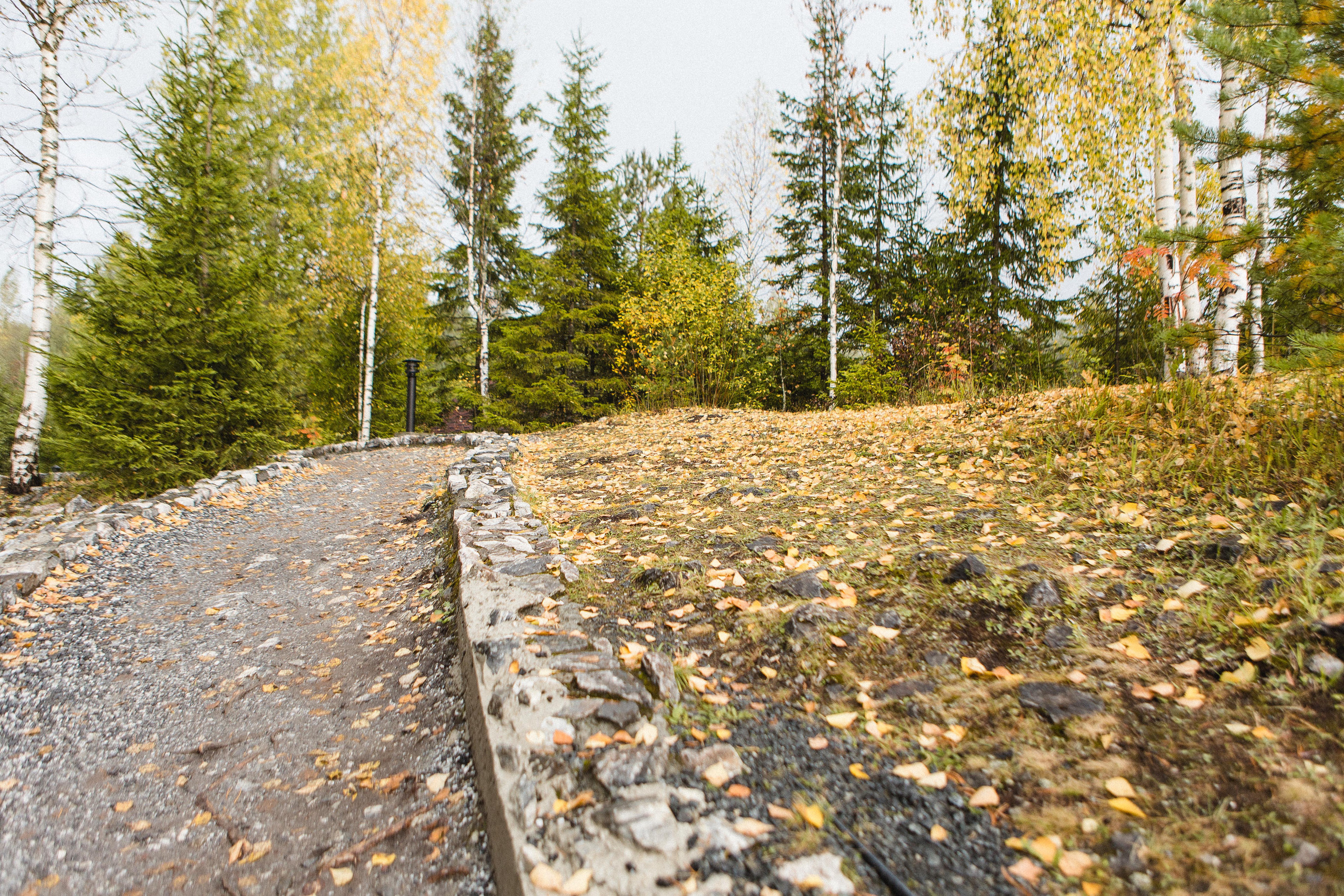 Поездка в Карелию, фототчет с поездки в Карелию. Свадебный фотограф в Санкт-Петербурге Никита Кузякин