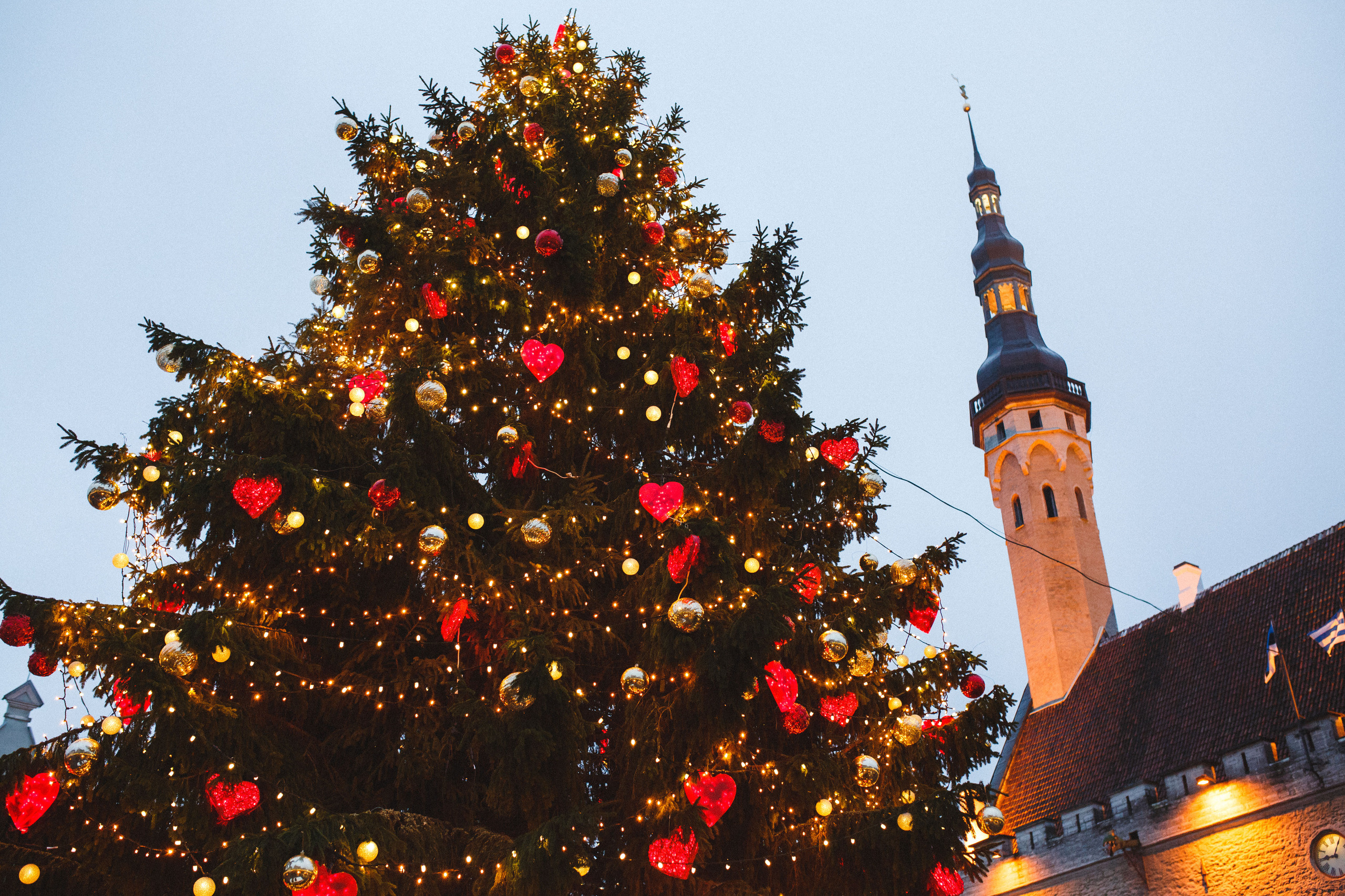 Путешествие в Таллин зимой, отчет о путешествии в Таллин зимой. Свадебный фотограф в Санкт-Петербурге Никита Кузякин