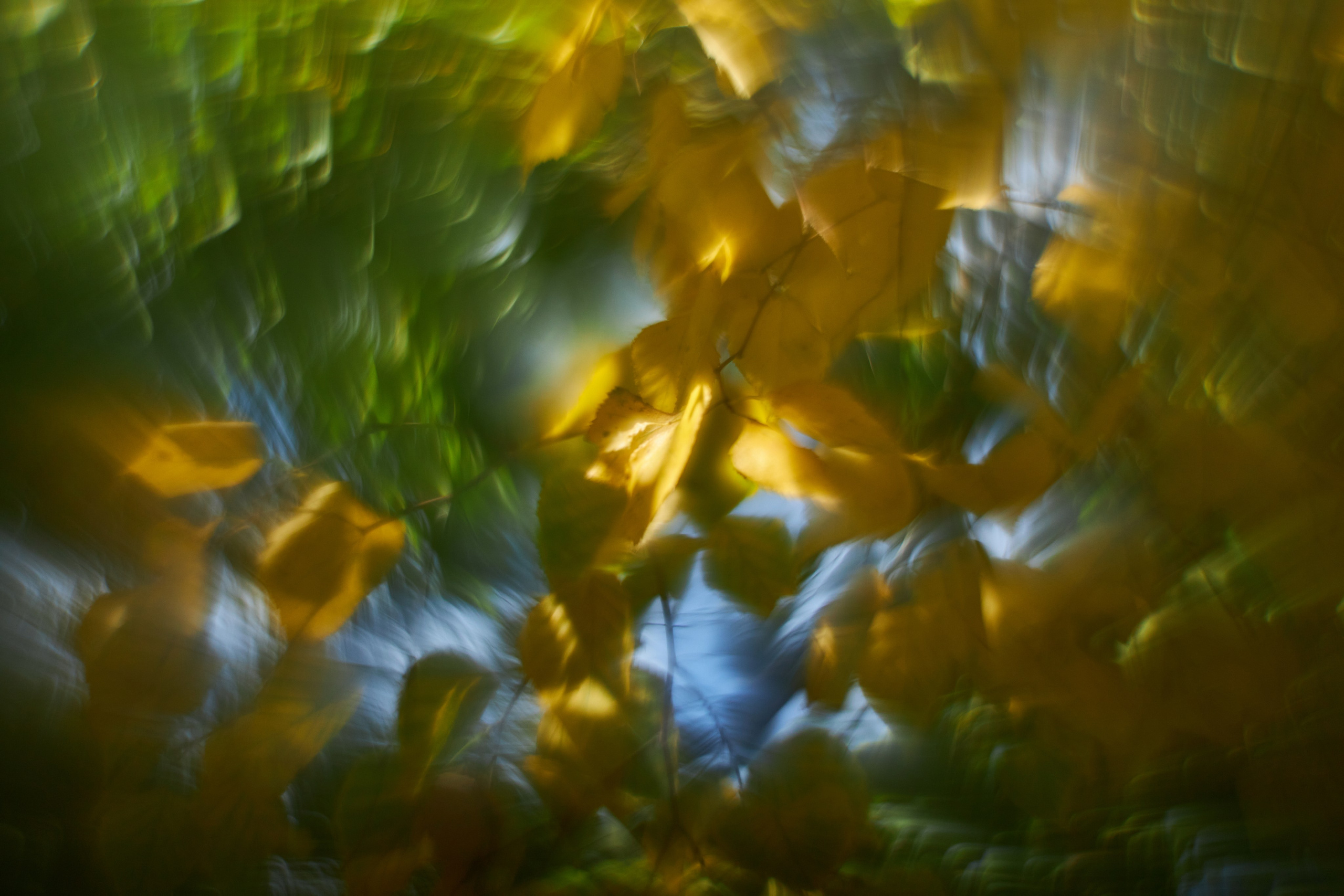 «Незримые Миры». Арт-фотограф во Владивостоке Дмитрий Осипчук