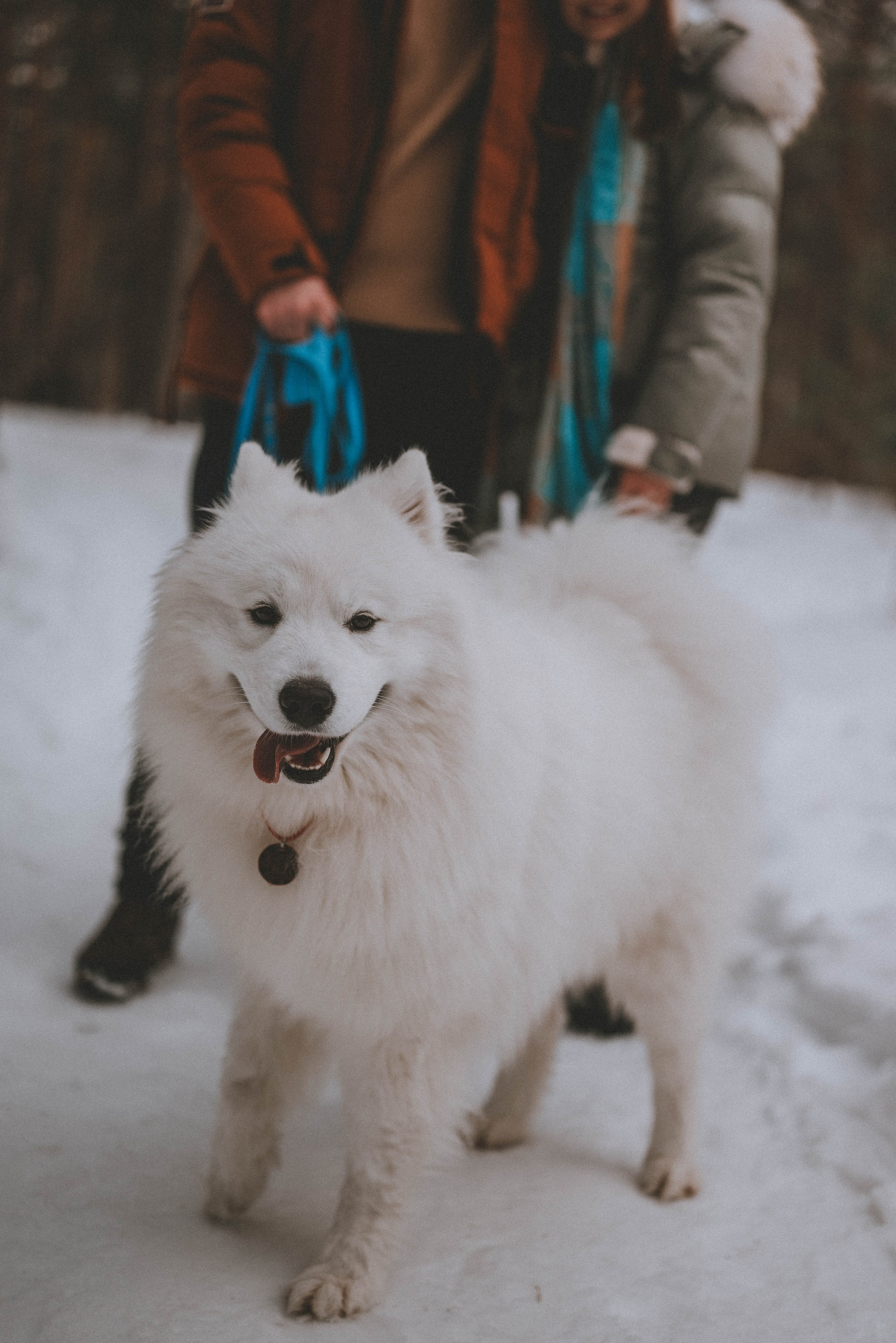 Евгений и Юлия с Каем. Фотограф Кристина Пархоменко