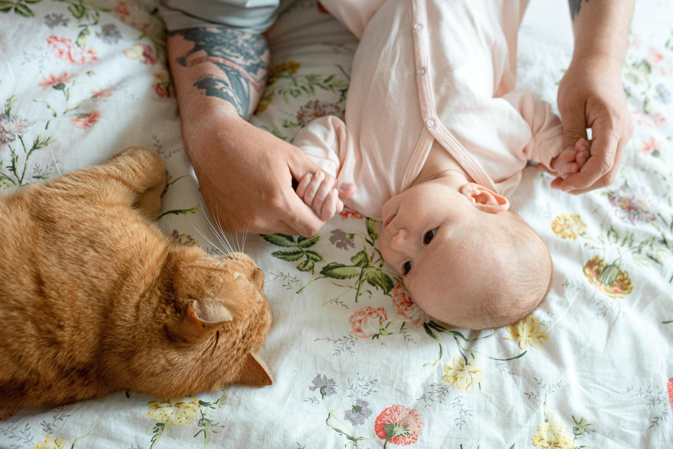 Мария, 3 месяца (домашняя фотосессия в стиле Lifestyle). Фотограф новорожденных в Екатеринбурге Лена Ильина