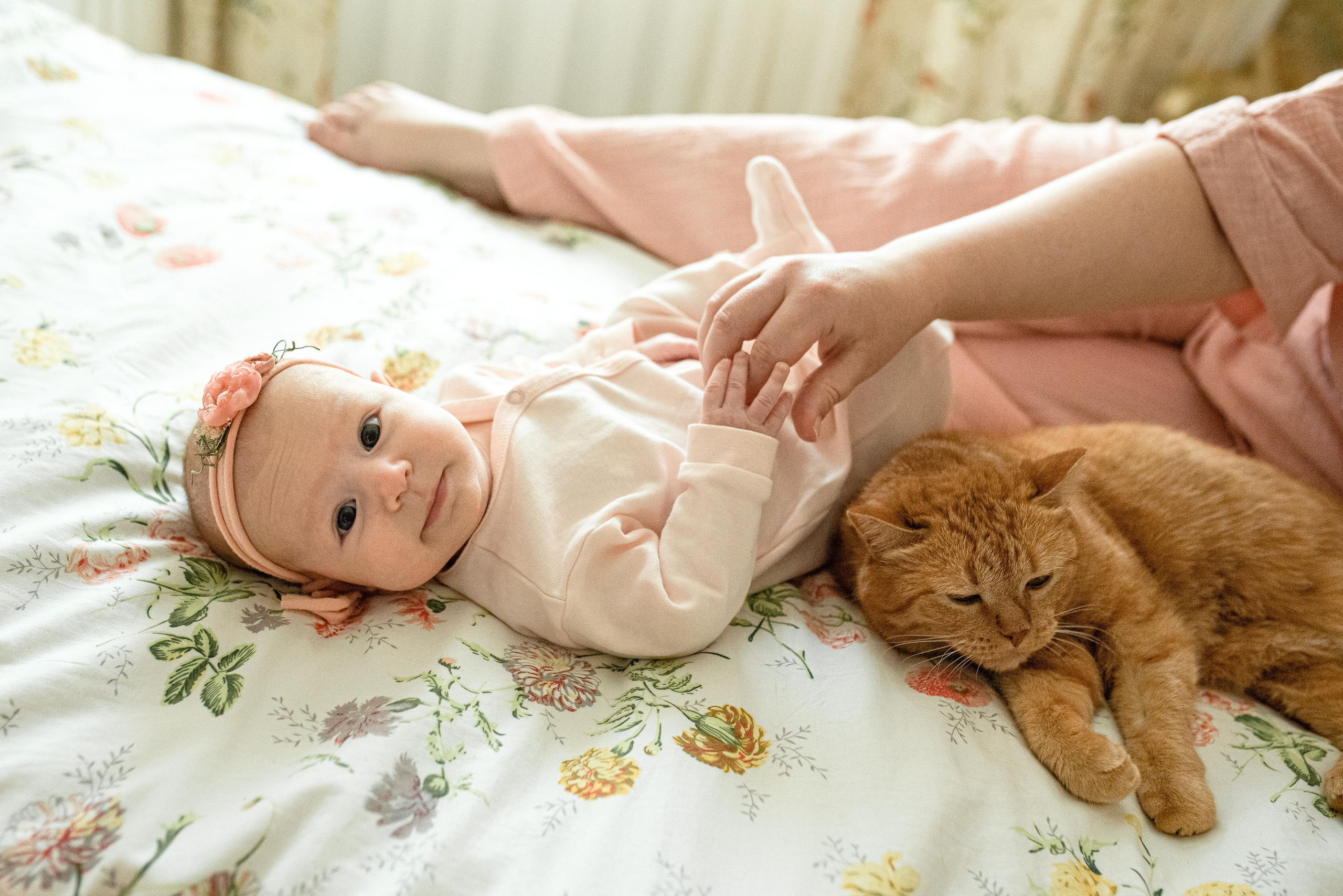 Мария, 3 месяца (домашняя фотосессия в стиле Lifestyle). Фотограф новорожденных в Екатеринбурге Лена Ильина